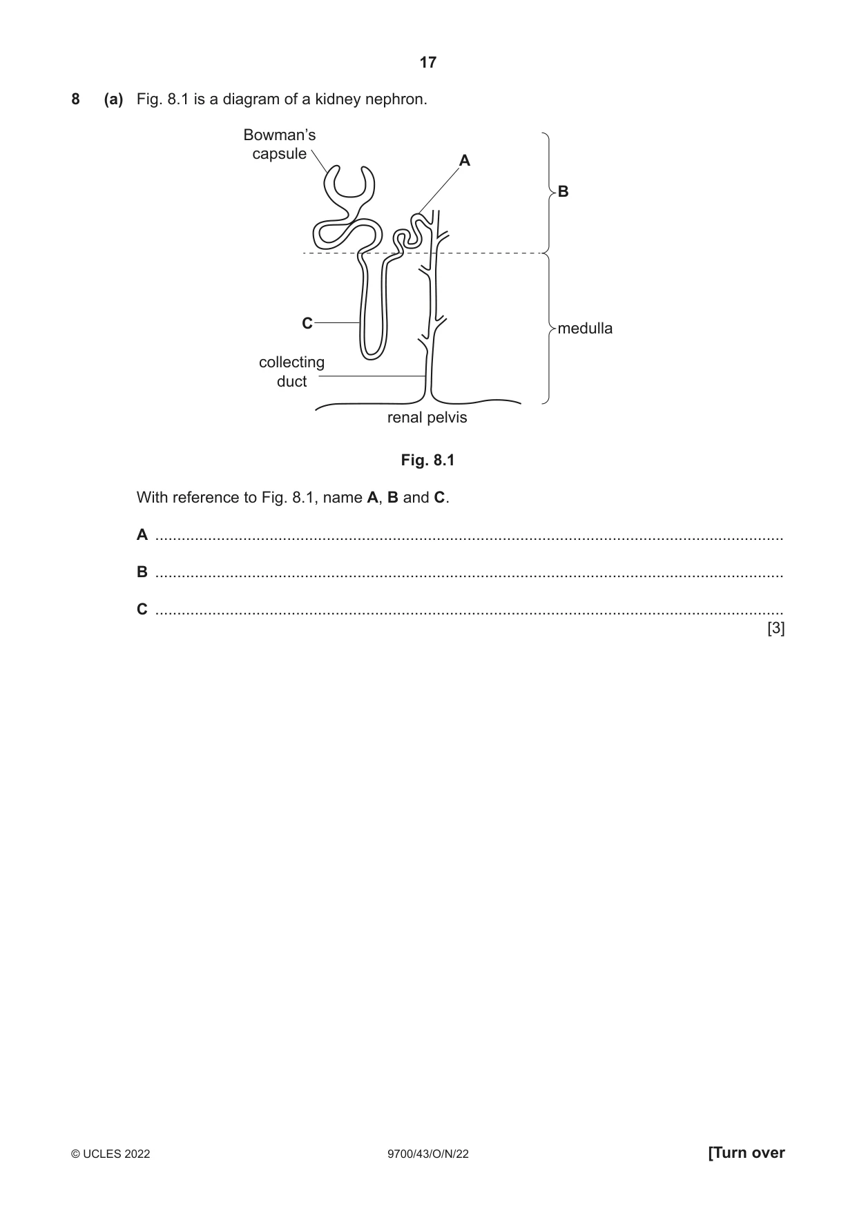 Cambridge A Level Biology 9700 2022 Oct/Nov Paper 4 · Variant 3 question paper, page 17 of 24