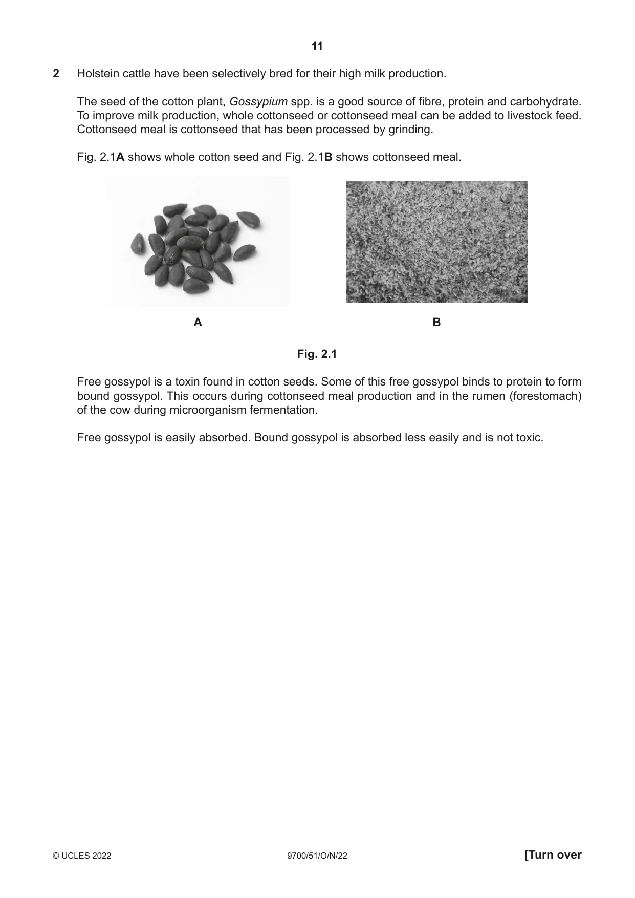 Cambridge A Level Biology 9700 2022 Oct/Nov Paper 5 · Variant 1 question paper, page 11 of 16