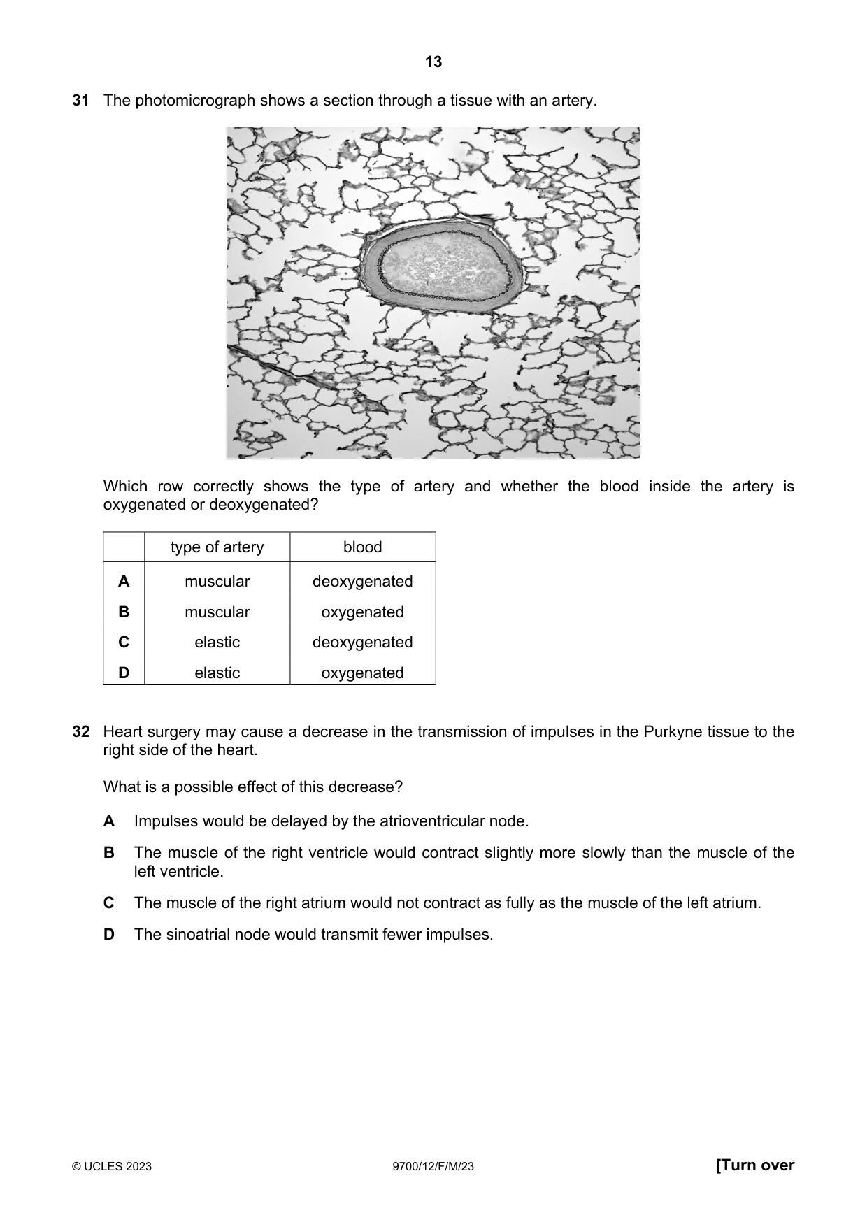 Cambridge A Level Biology 9700 2023 Feb/March Paper 1 · Variant 2 question paper, page 13 of 16
