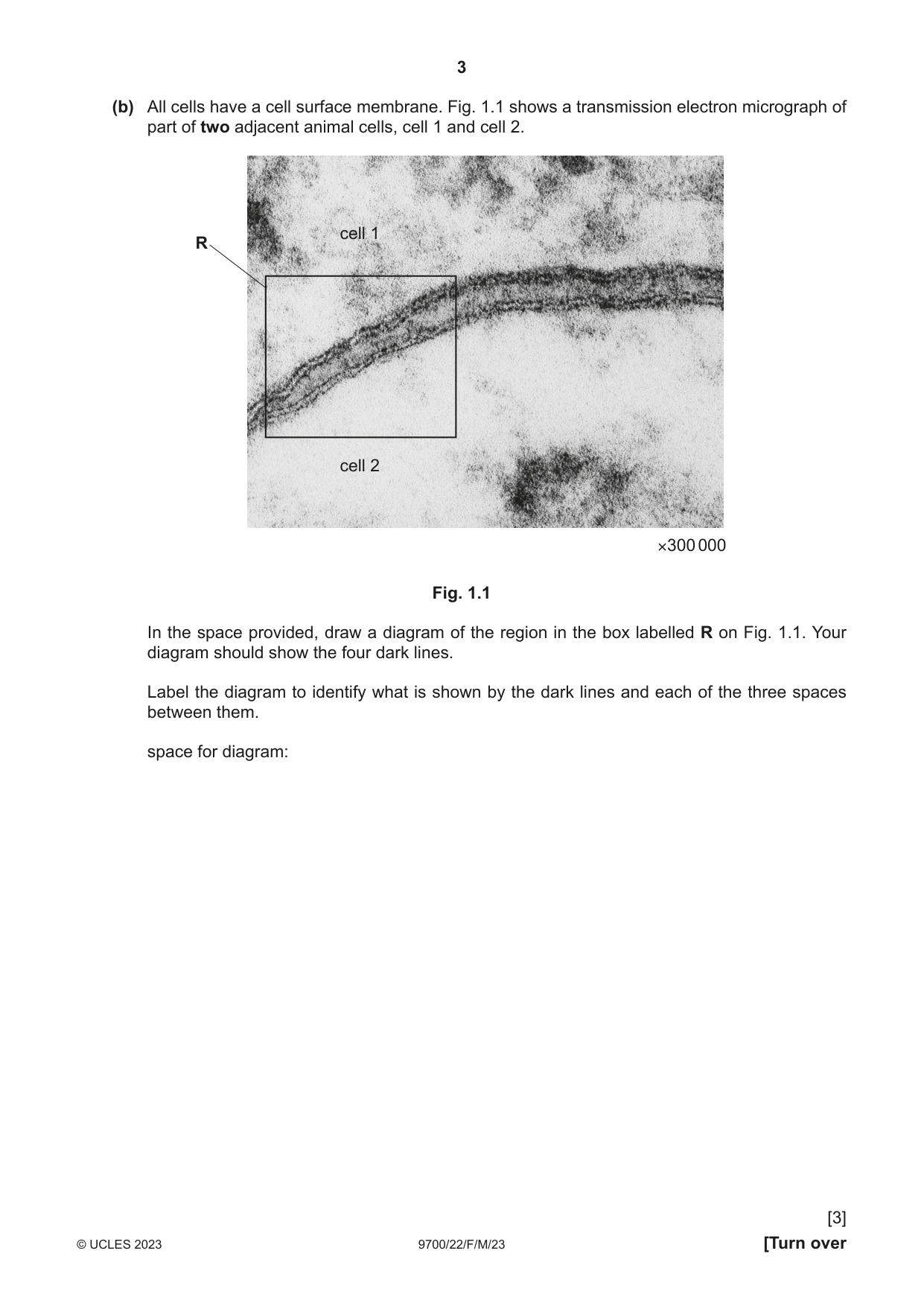 Cambridge A Level Biology 9700 2023 Feb/March Paper 2 · Variant 2 question paper, page 3 of 20