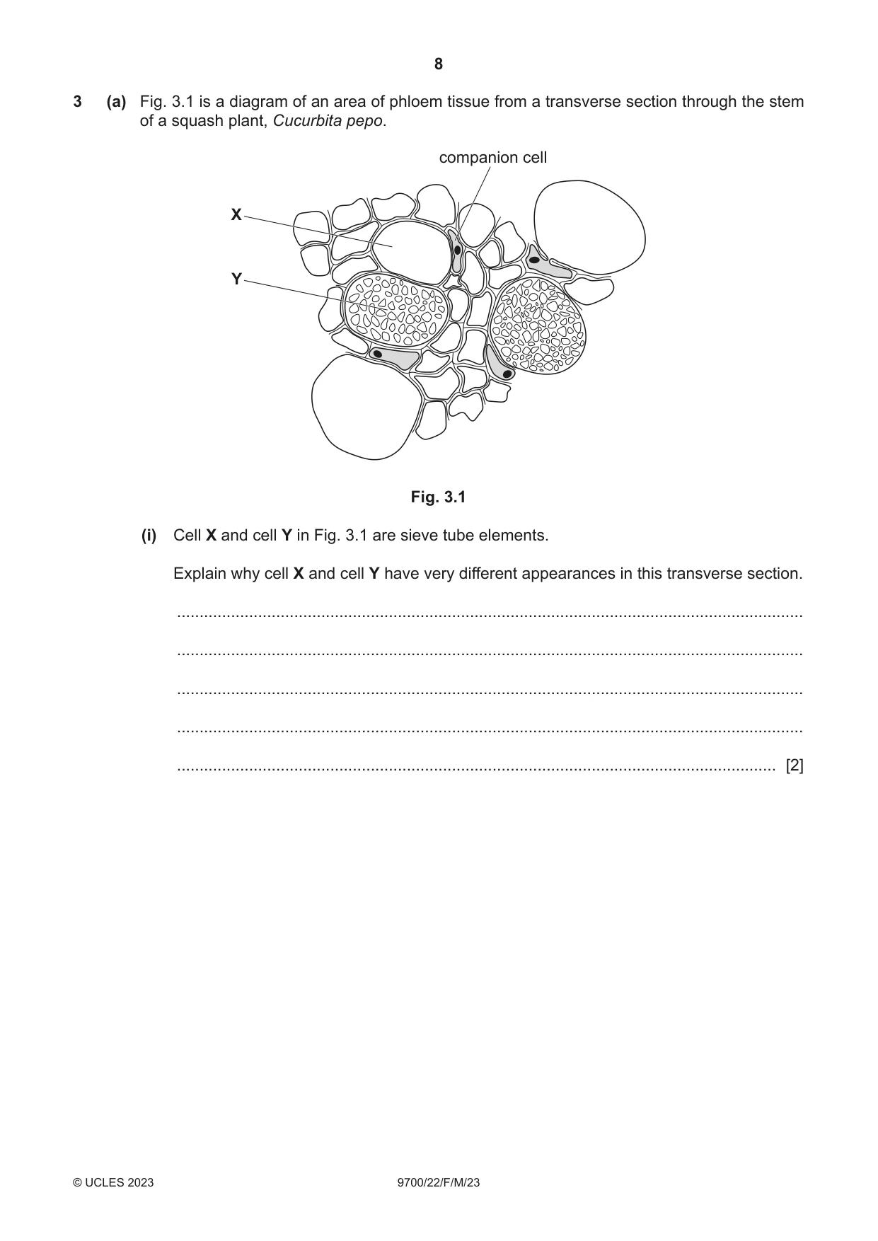 Cambridge A Level Biology 9700 2023 Feb/March Paper 2 · Variant 2 question paper, page 8 of 20