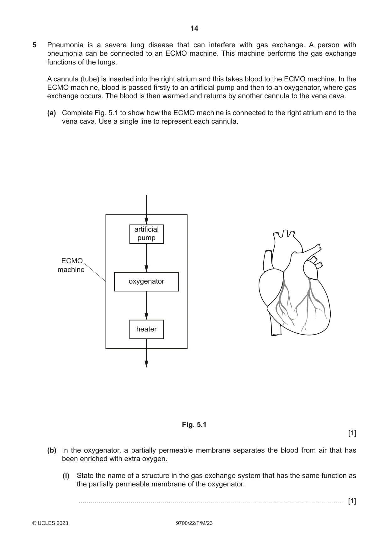 Cambridge A Level Biology 9700 2023 Feb/March Paper 2 · Variant 2 question paper, page 14 of 20