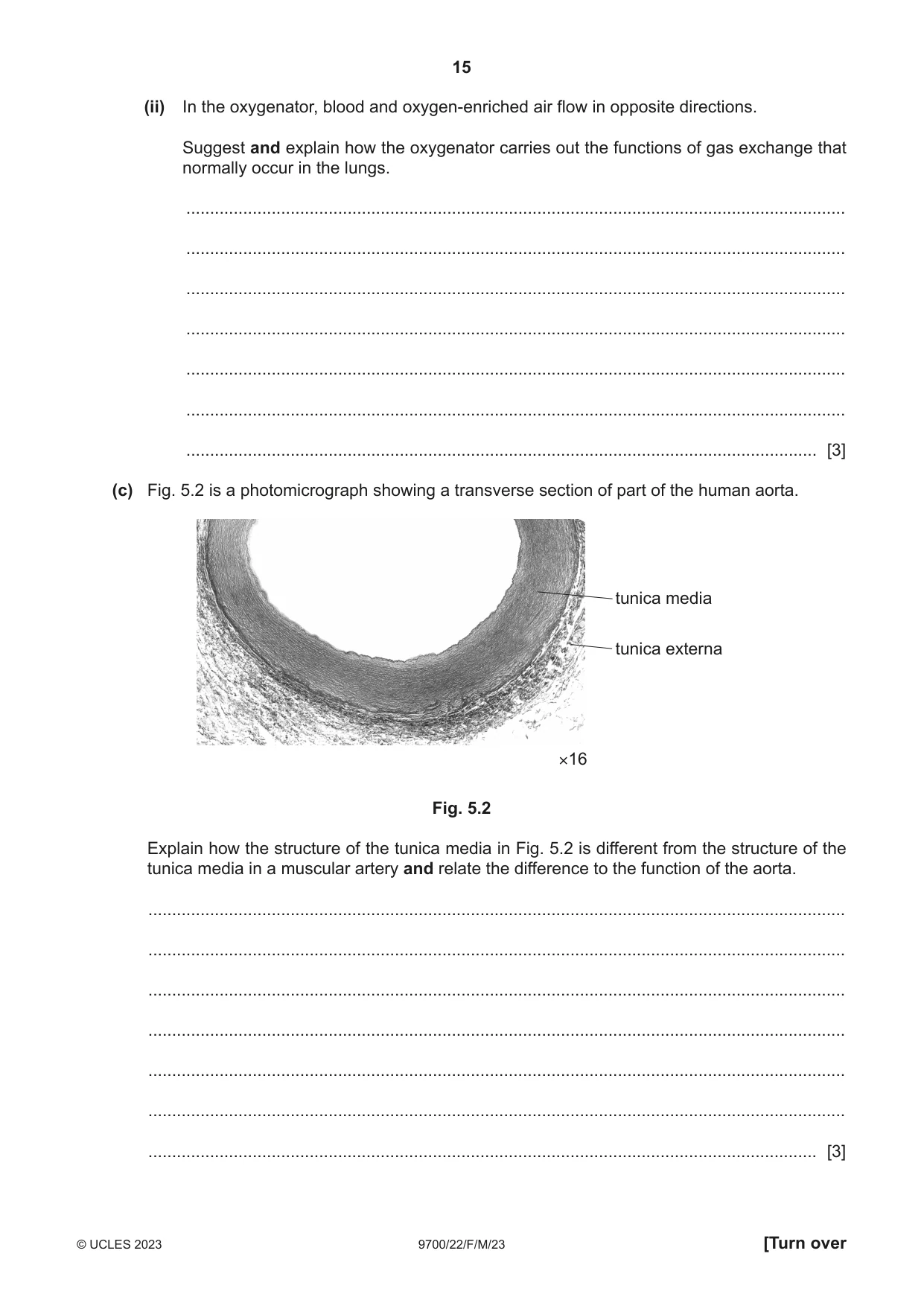 Cambridge A Level Biology 9700 2023 Feb/March Paper 2 · Variant 2 question paper, page 15 of 20