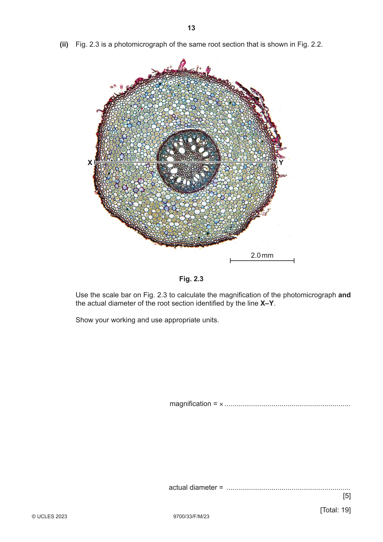 Cambridge A Level Biology 9700 2023 Feb/March Paper 3 · Variant 3 question paper, page 13 of 16