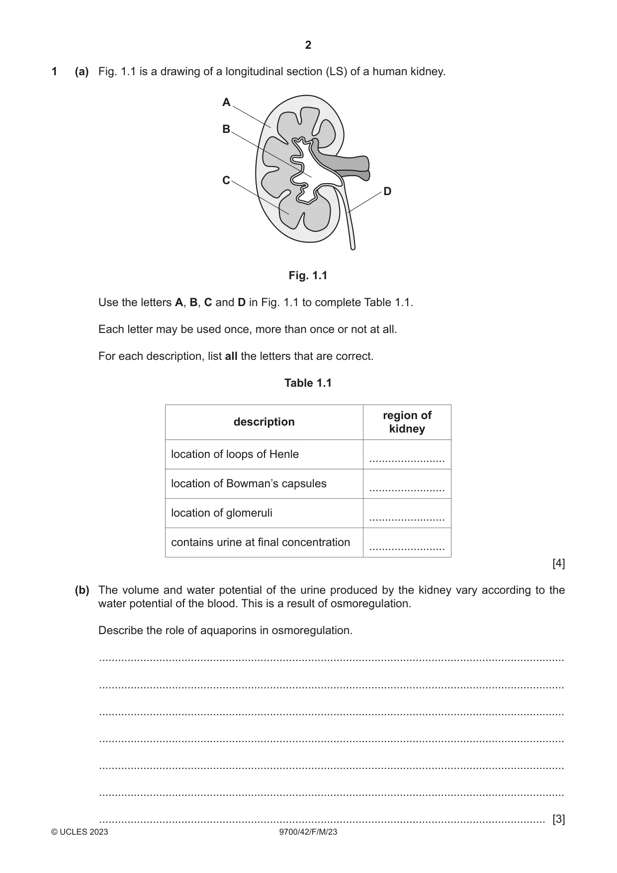Cambridge A Level Biology 9700 2023 Feb/March Paper 4 · Variant 2 question paper, page 2 of 28