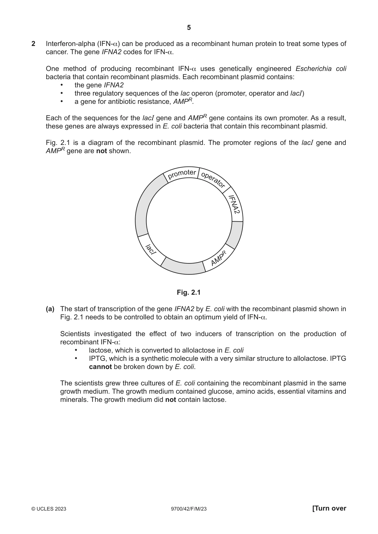 Cambridge A Level Biology 9700 2023 Feb/March Paper 4 · Variant 2 question paper, page 5 of 28