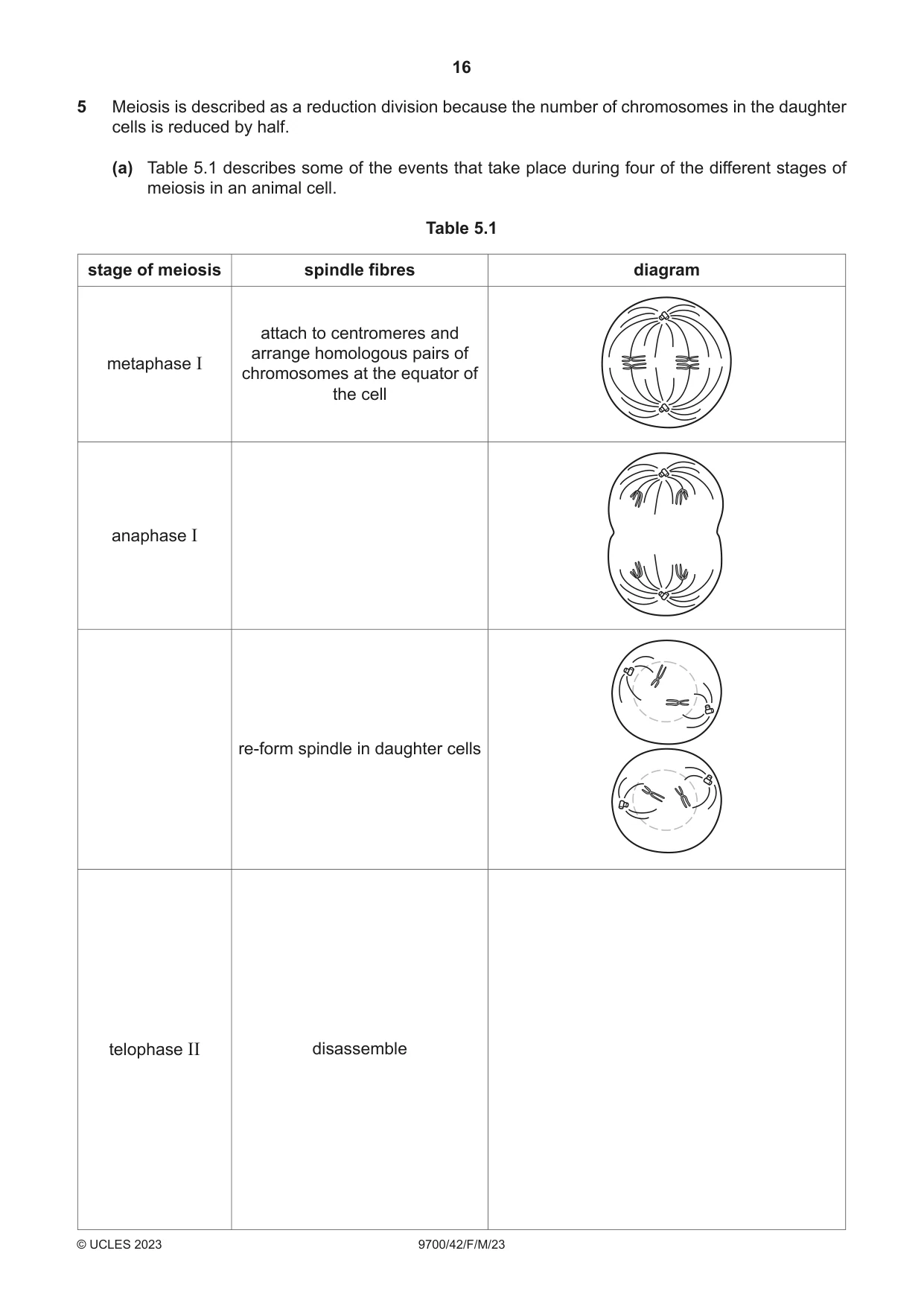 Cambridge A Level Biology 9700 2023 Feb/March Paper 4 · Variant 2 question paper, page 16 of 28