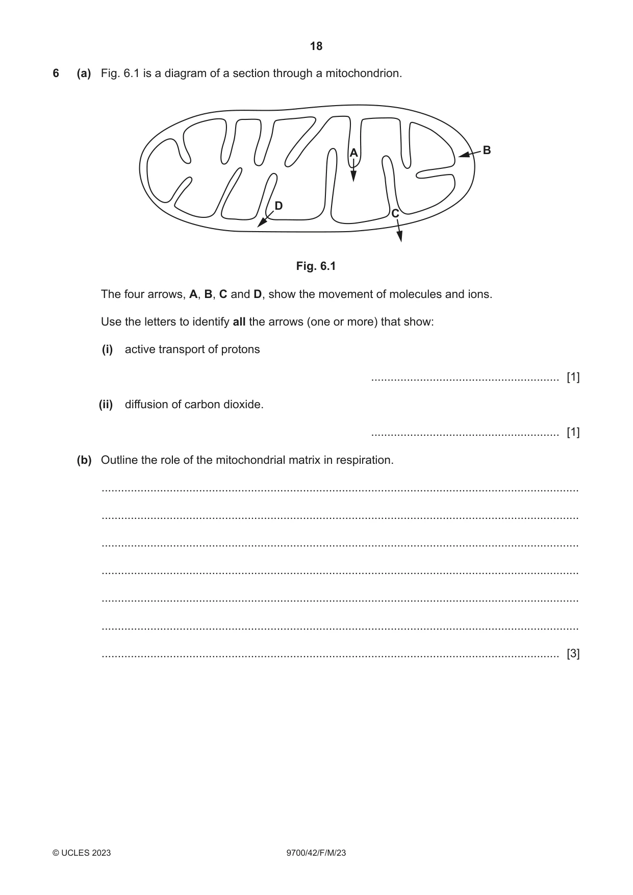 Cambridge A Level Biology 9700 2023 Feb/March Paper 4 · Variant 2 question paper, page 18 of 28