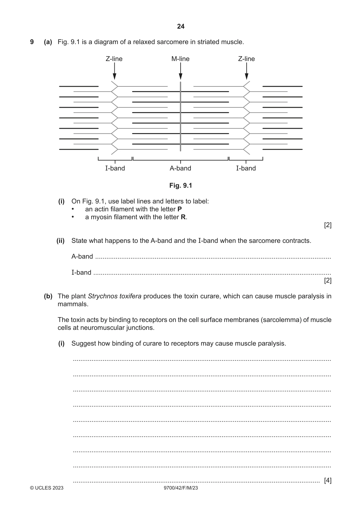 Cambridge A Level Biology 9700 2023 Feb/March Paper 4 · Variant 2 question paper, page 24 of 28