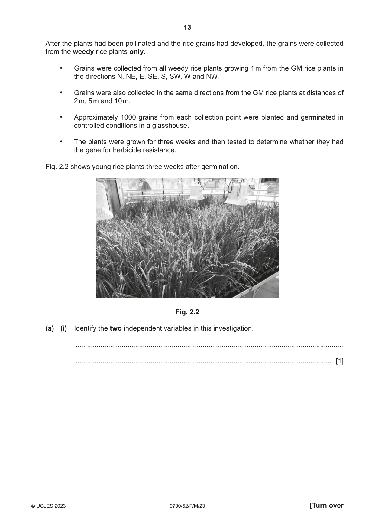 Cambridge A Level Biology 9700 2023 Feb/March Paper 5 · Variant 2 question paper, page 13 of 20