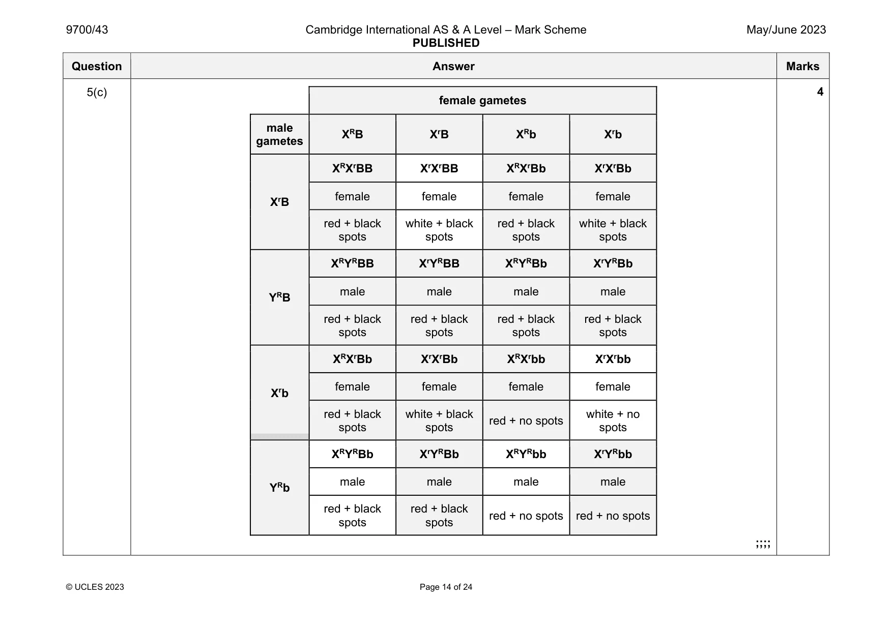 Mark scheme, page 14 of 24