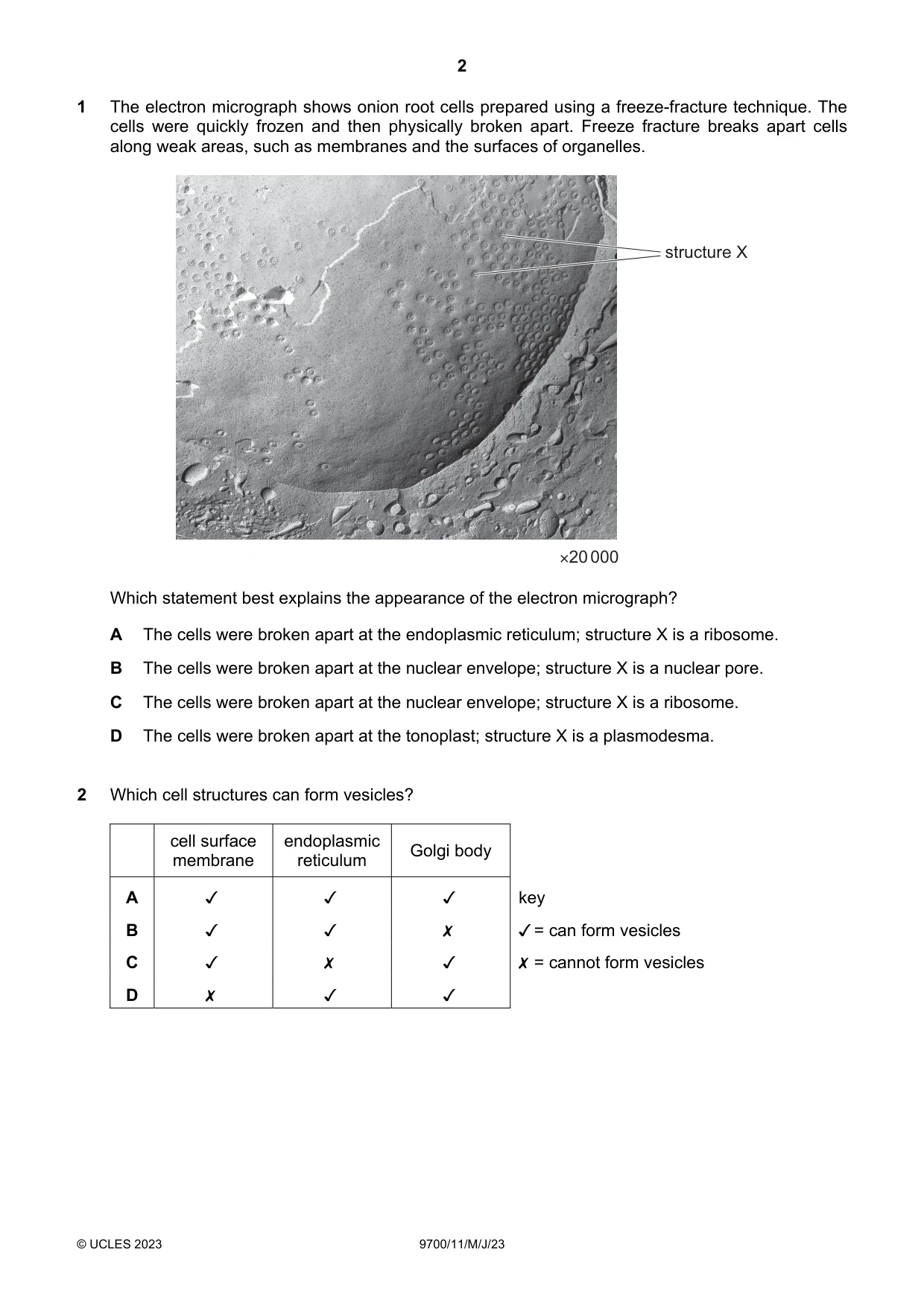 Cambridge A Level Biology 9700 2023 May/June Paper 1 · Variant 1 question paper, page 2 of 20