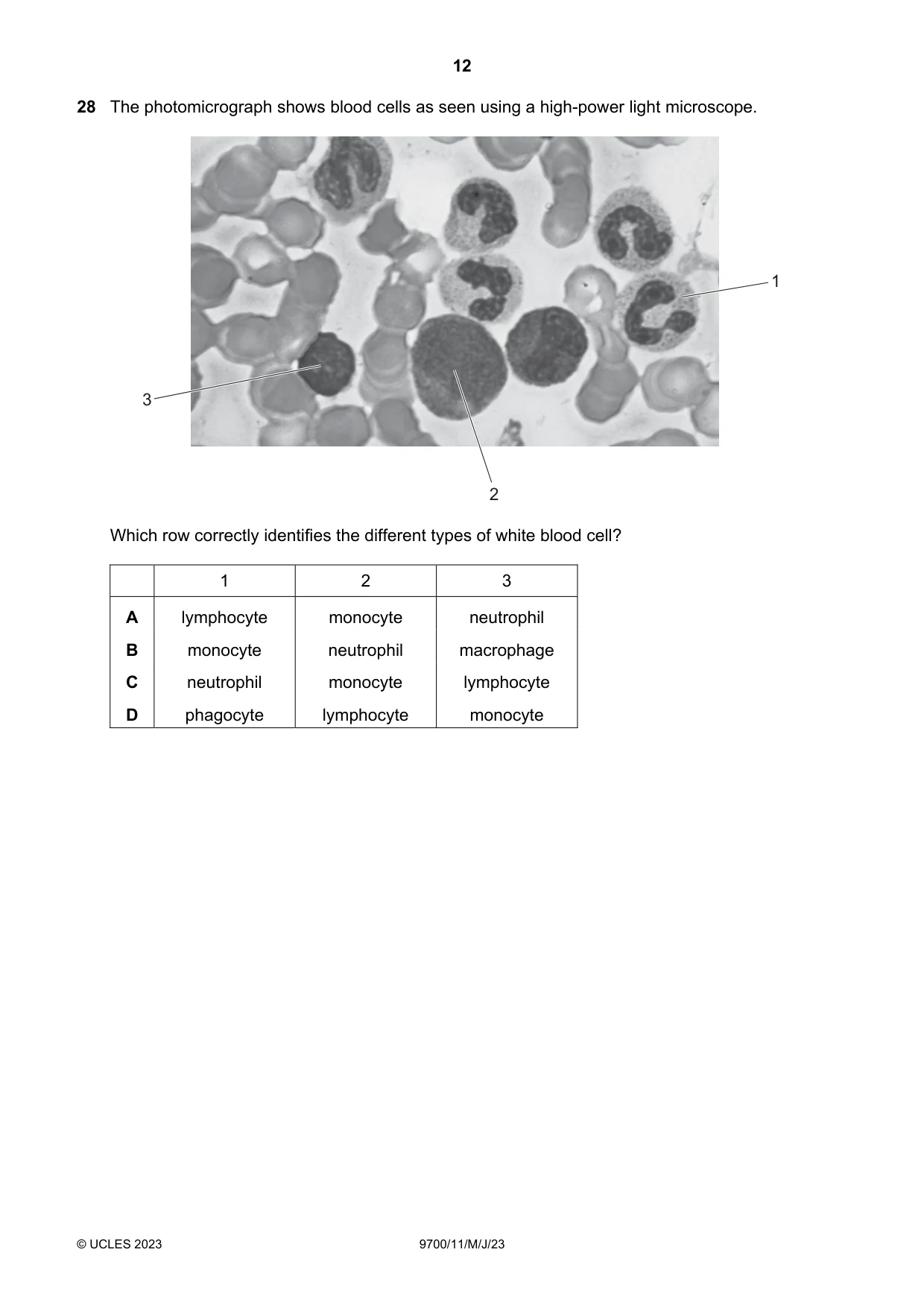 Cambridge A Level Biology 9700 2023 May/June Paper 1 · Variant 1 question paper, page 12 of 20