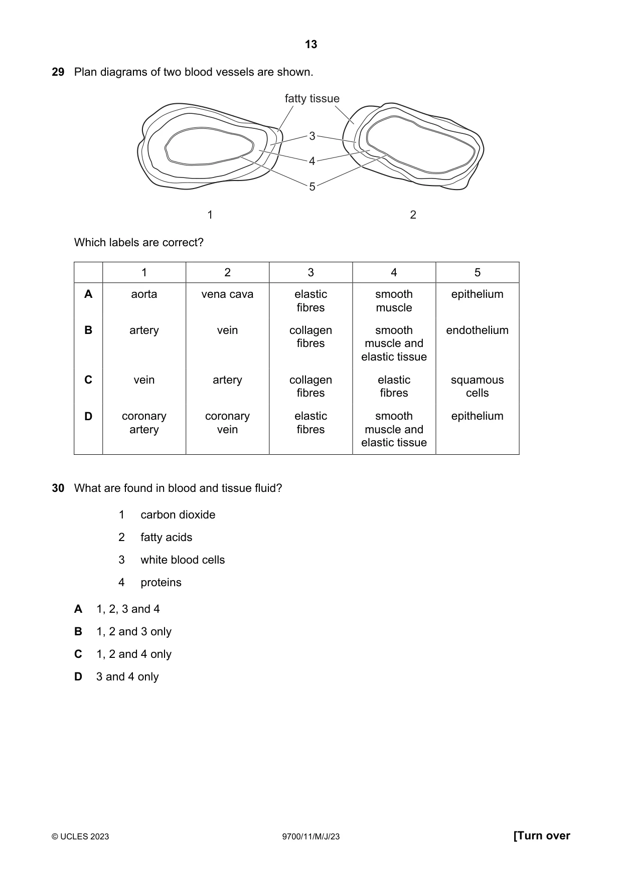 Cambridge A Level Biology 9700 2023 May/June Paper 1 · Variant 1 question paper, page 13 of 20