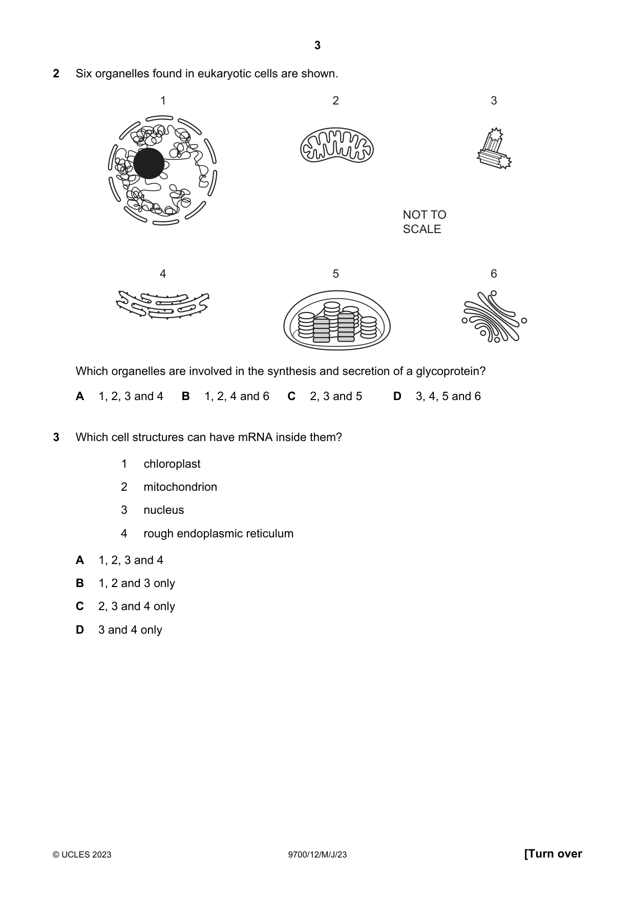 Cambridge A Level Biology 9700 2023 May/June Paper 1 · Variant 2 question paper, page 3 of 20