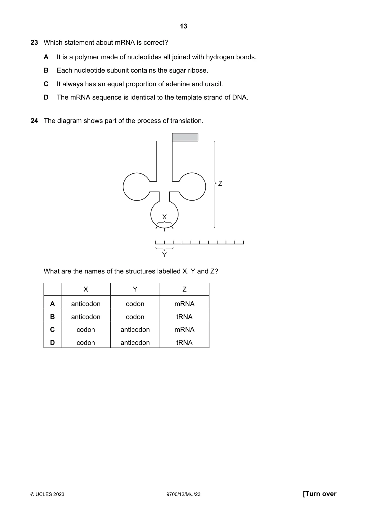 Cambridge A Level Biology 9700 2023 May/June Paper 1 · Variant 2 question paper, page 13 of 20