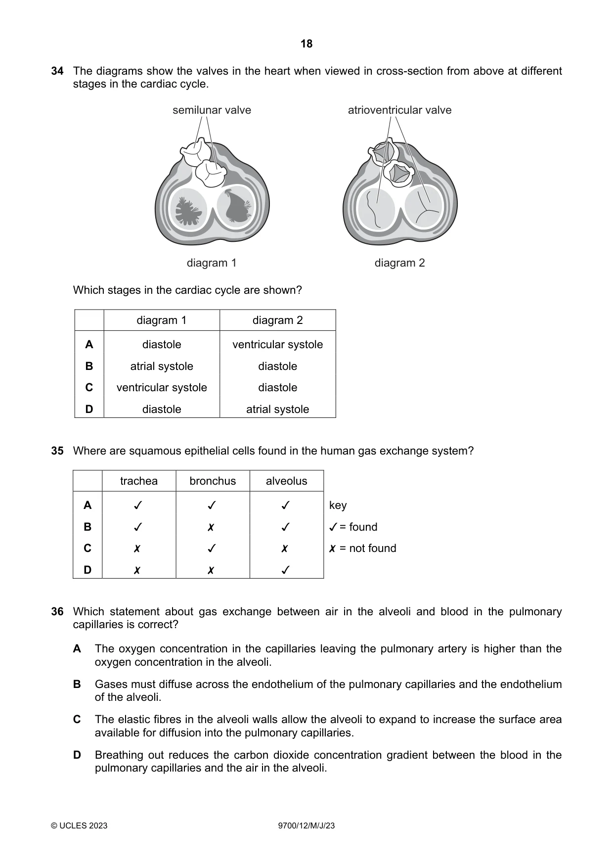 Cambridge A Level Biology 9700 2023 May/June Paper 1 · Variant 2 question paper, page 18 of 20