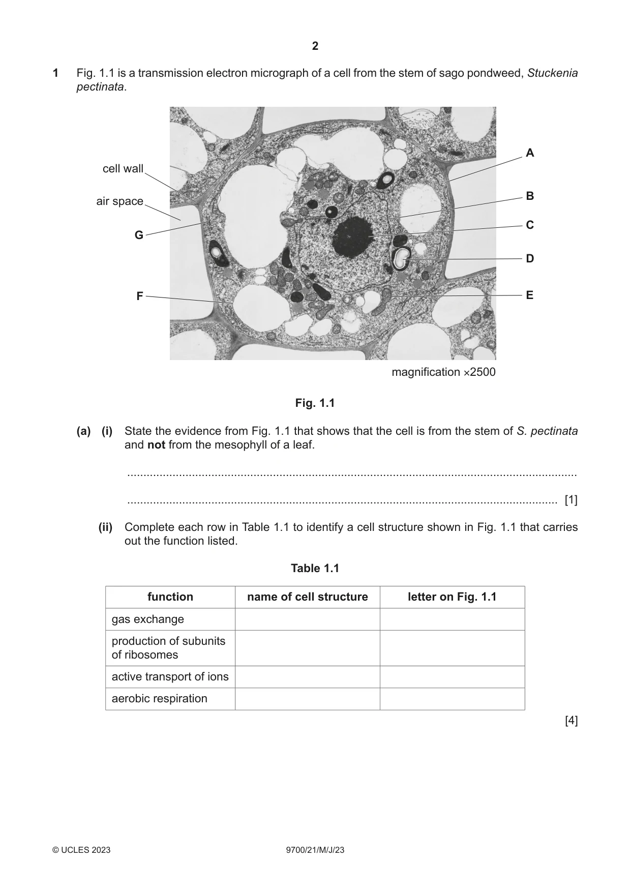 Cambridge A Level Biology 9700 2023 May/June Paper 2 · Variant 1 question paper, page 2 of 20