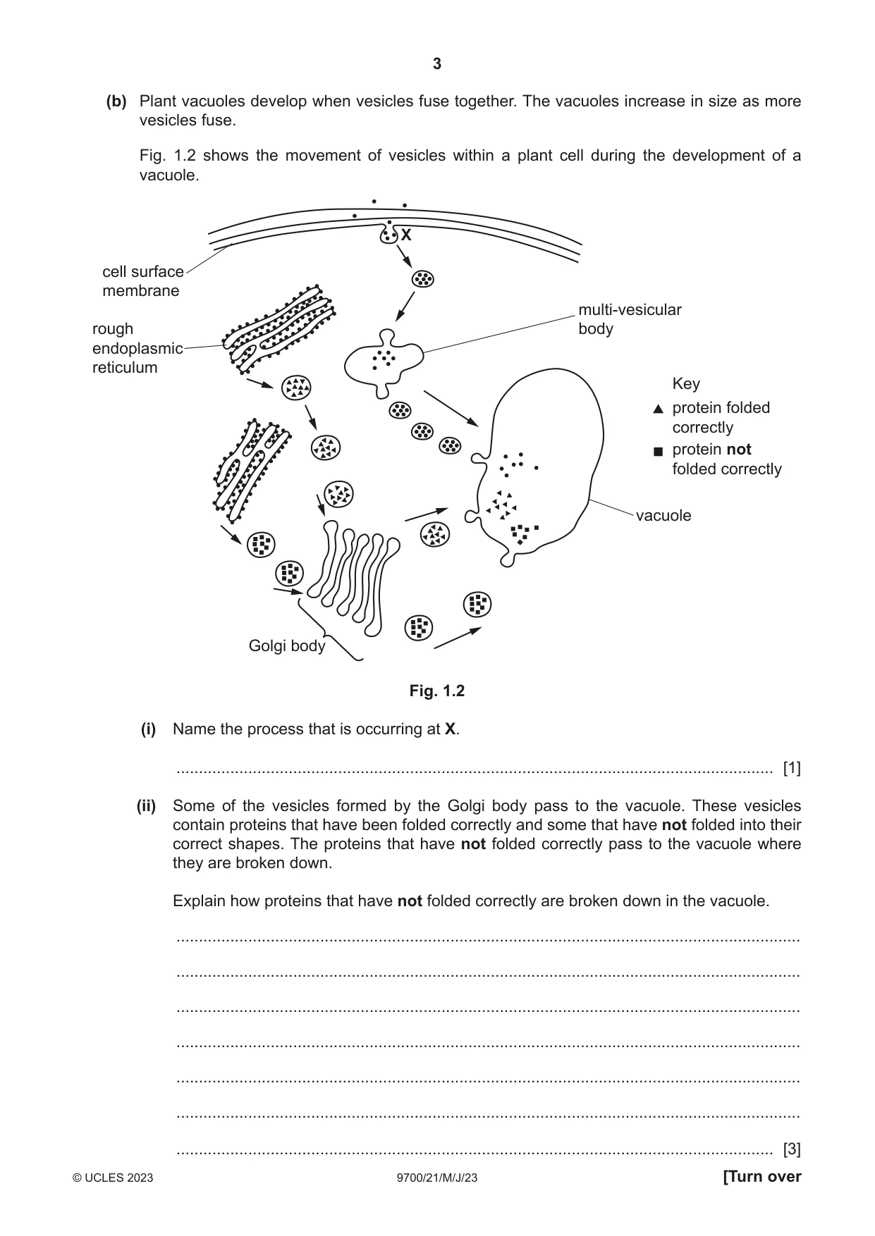 Cambridge A Level Biology 9700 2023 May/June Paper 2 · Variant 1 question paper, page 3 of 20