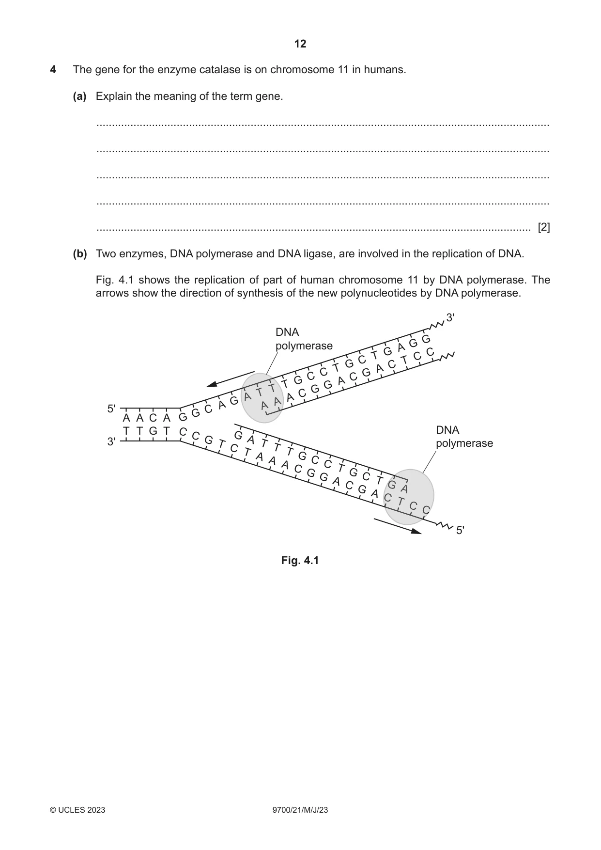 Cambridge A Level Biology 9700 2023 May/June Paper 2 · Variant 1 question paper, page 12 of 20