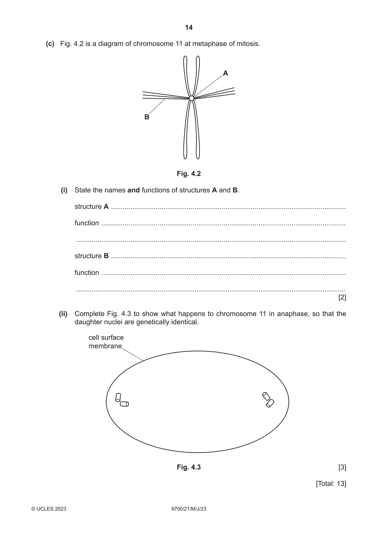 Cambridge A Level Biology 9700 2023 May/June Paper 2 · Variant 1 question paper, page 14 of 20