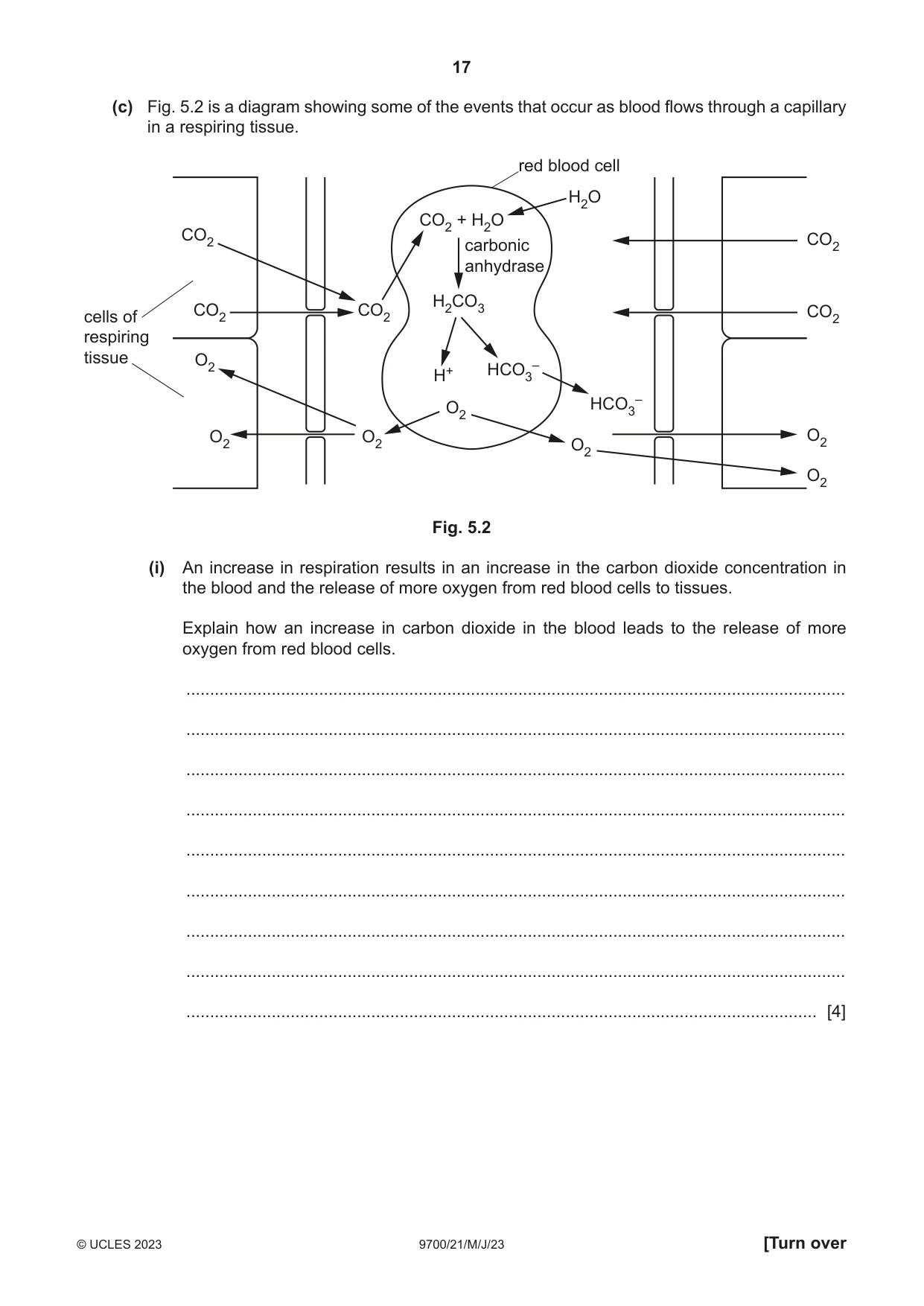 Cambridge A Level Biology 9700 2023 May/June Paper 2 · Variant 1 question paper, page 17 of 20