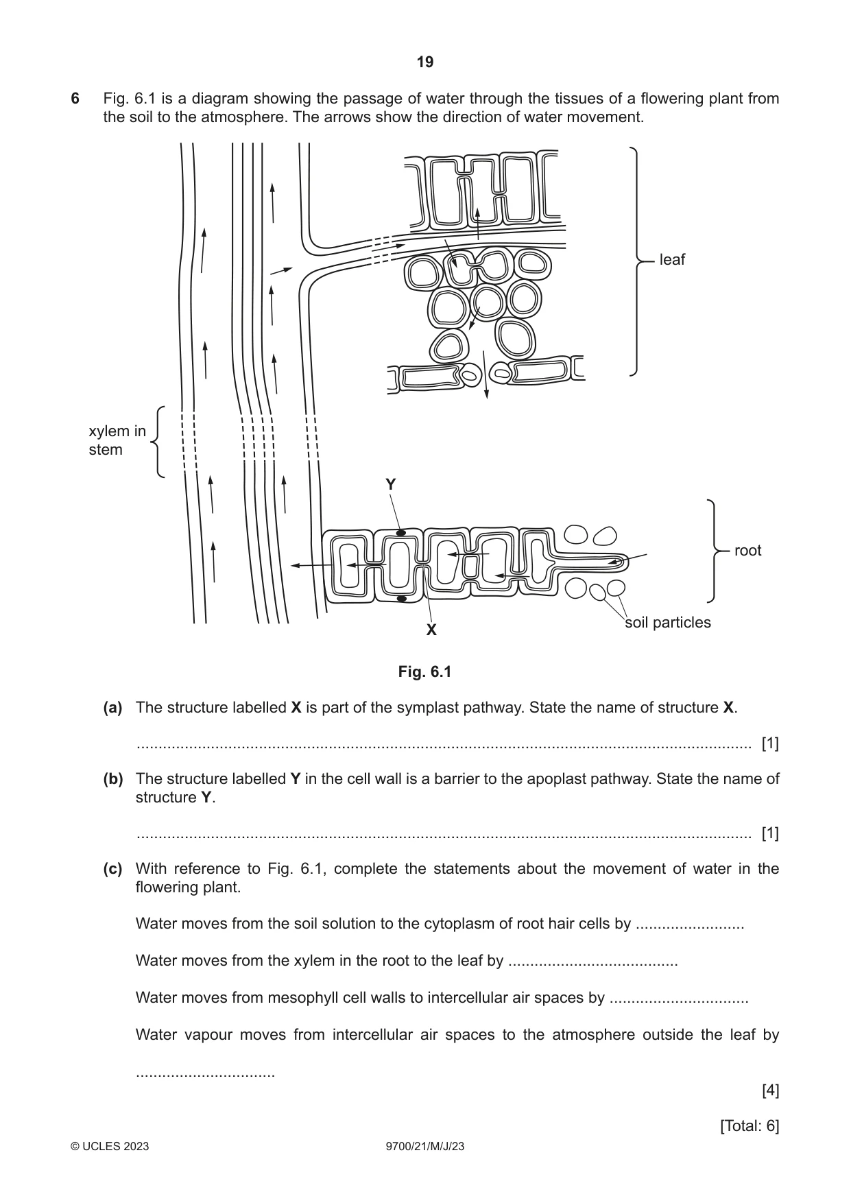 Cambridge A Level Biology 9700 2023 May/June Paper 2 · Variant 1 question paper, page 19 of 20