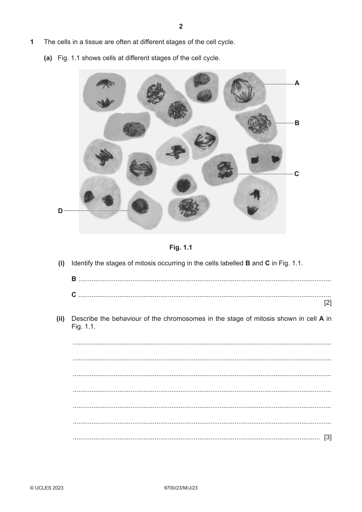 Cambridge A Level Biology 9700 2023 May/June Paper 2 · Variant 3 question paper, page 2 of 16