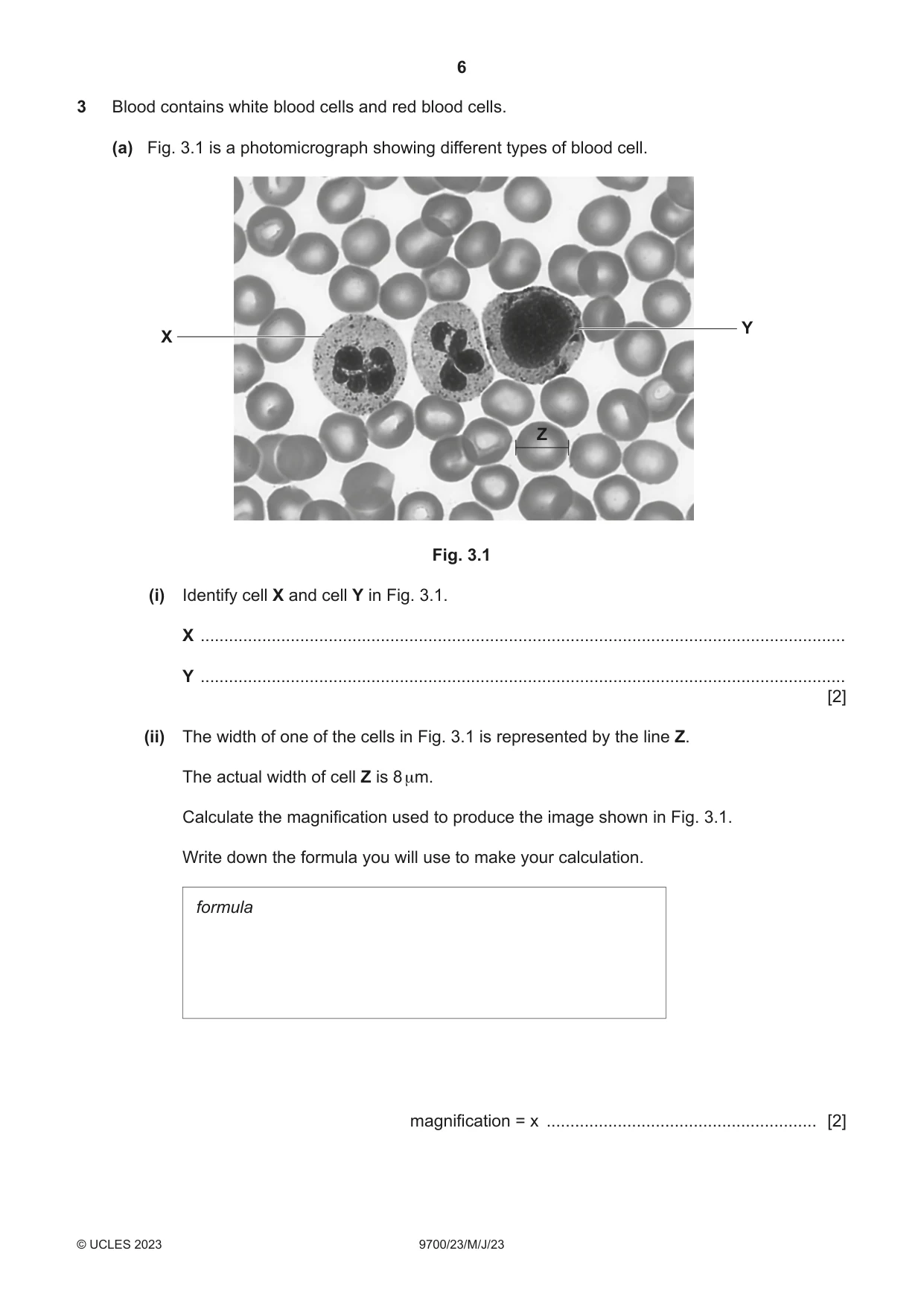 Cambridge A Level Biology 9700 2023 May/June Paper 2 · Variant 3 question paper, page 6 of 16