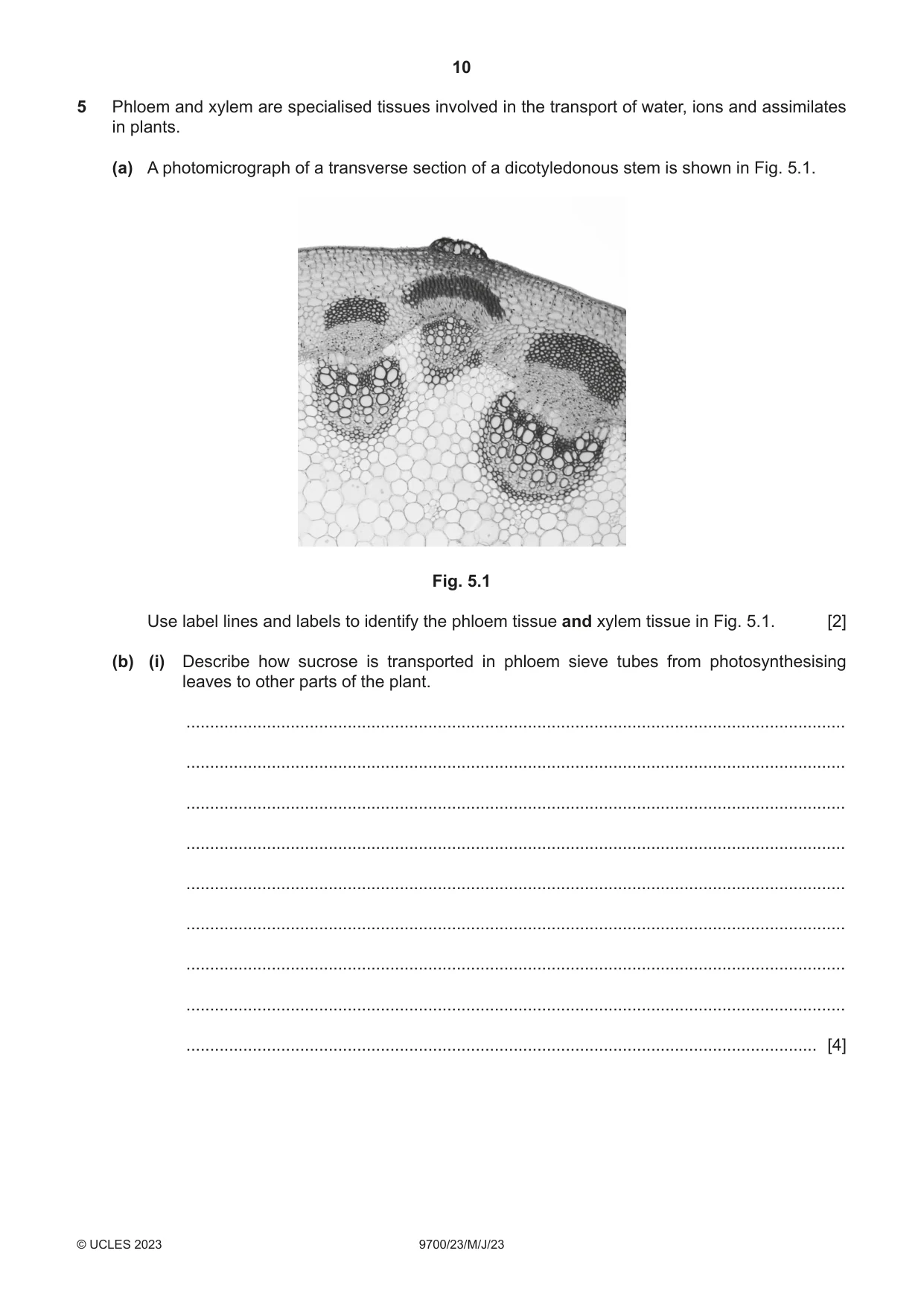 Cambridge A Level Biology 9700 2023 May/June Paper 2 · Variant 3 question paper, page 10 of 16