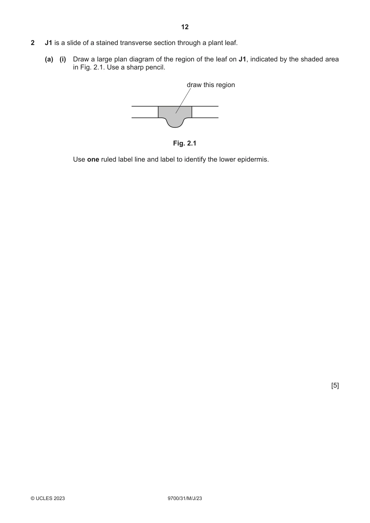Cambridge A Level Biology 9700 2023 May/June Paper 3 · Variant 1 question paper, page 12 of 16