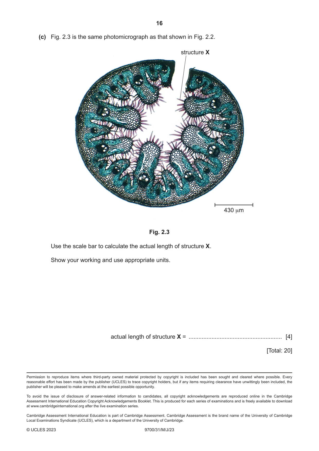 Cambridge A Level Biology 9700 2023 May/June Paper 3 · Variant 1 question paper, page 16 of 16