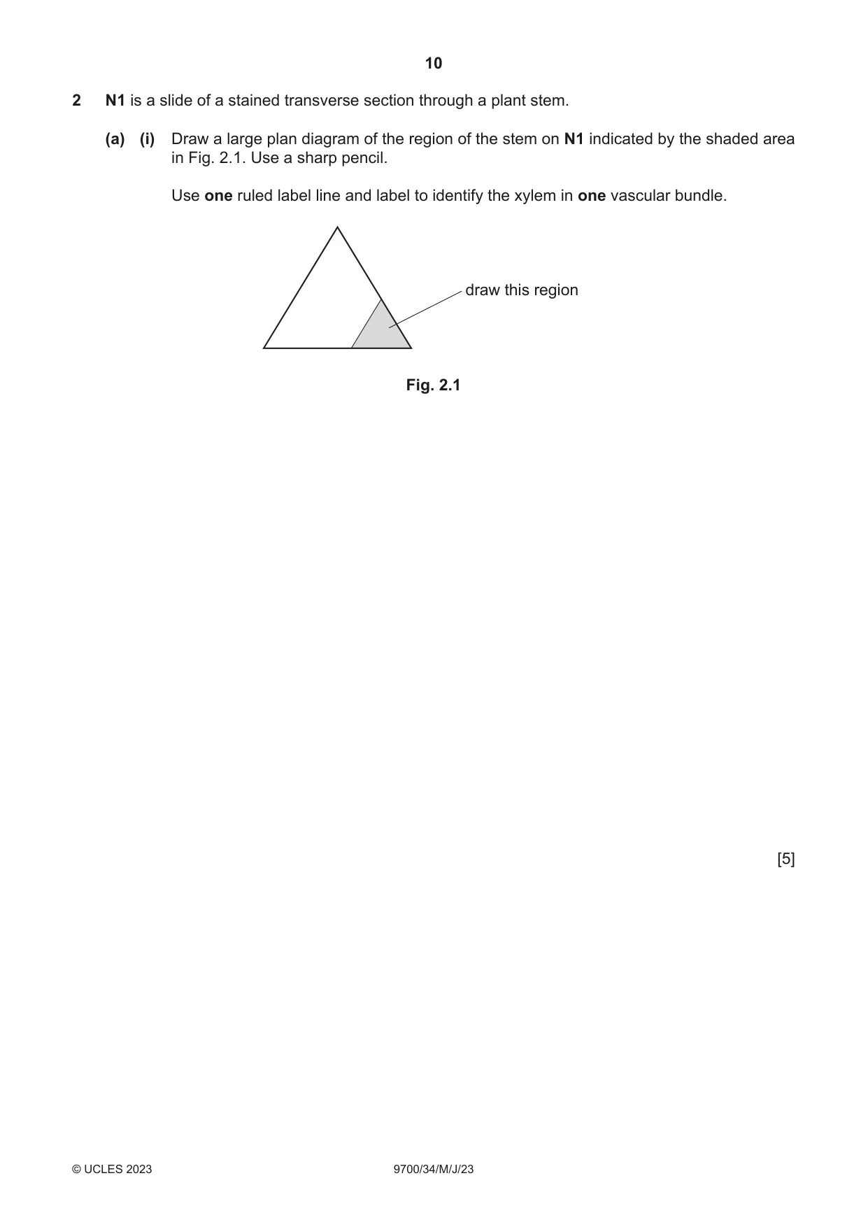 Cambridge A Level Biology 9700 2023 May/June Paper 3 · Variant 4 question paper, page 10 of 16
