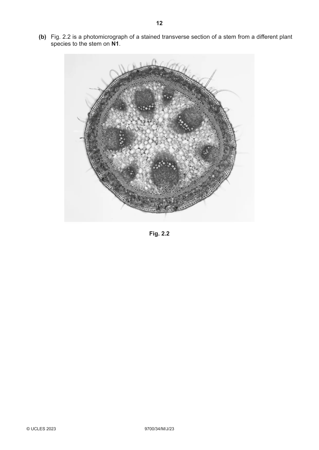 Cambridge A Level Biology 9700 2023 May/June Paper 3 · Variant 4 question paper, page 12 of 16
