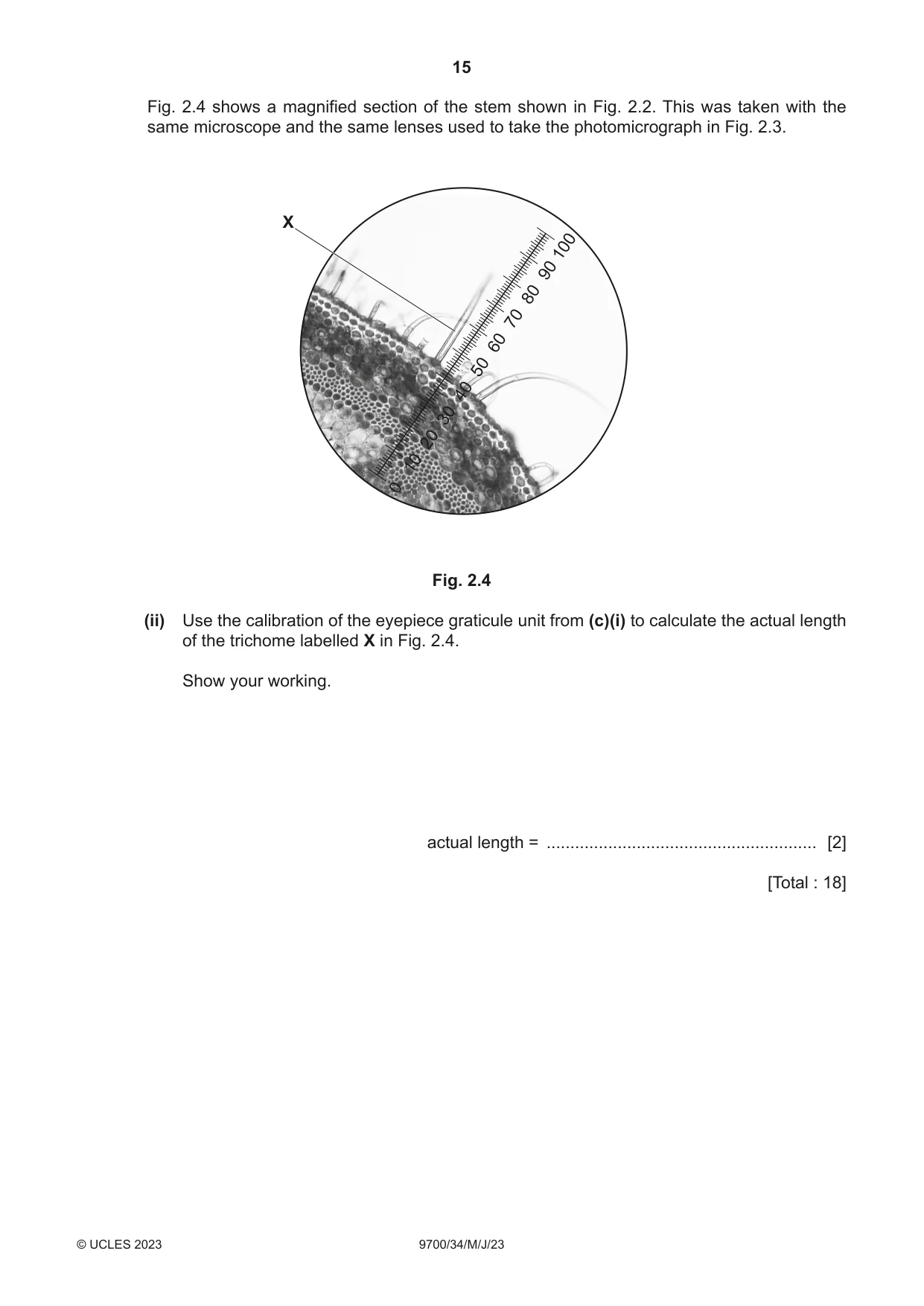 Cambridge A Level Biology 9700 2023 May/June Paper 3 · Variant 4 question paper, page 15 of 16