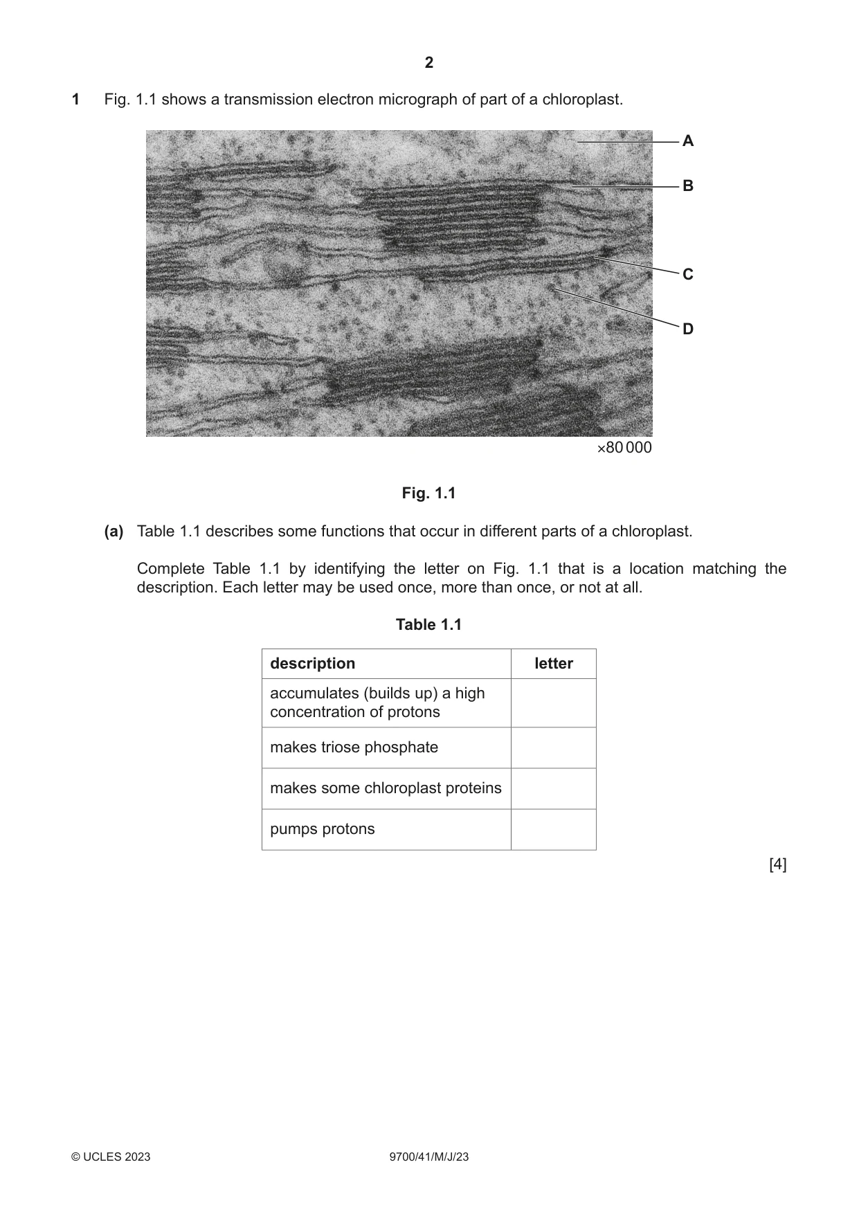 Cambridge A Level Biology 9700 2023 May/June Paper 4 · Variant 1 question paper, page 2 of 24