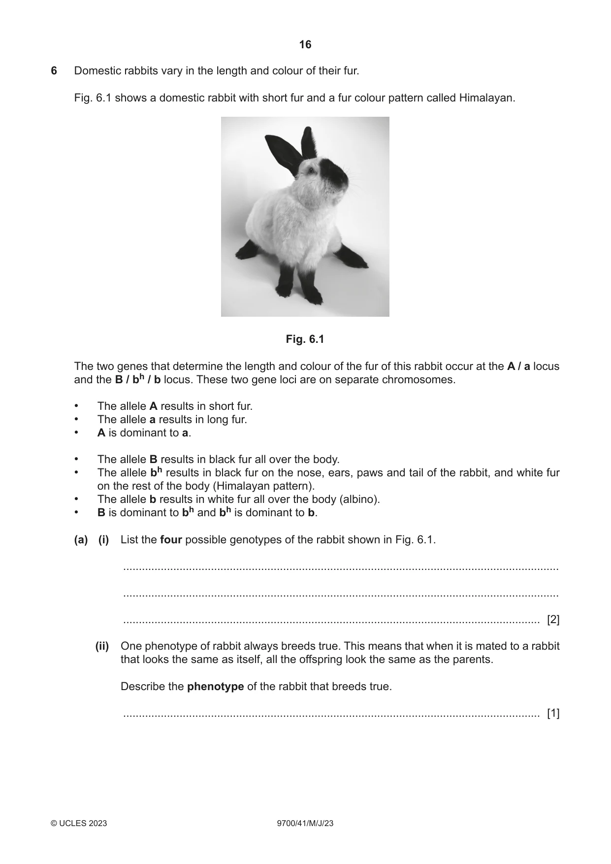 Cambridge A Level Biology 9700 2023 May/June Paper 4 · Variant 1 question paper, page 16 of 24