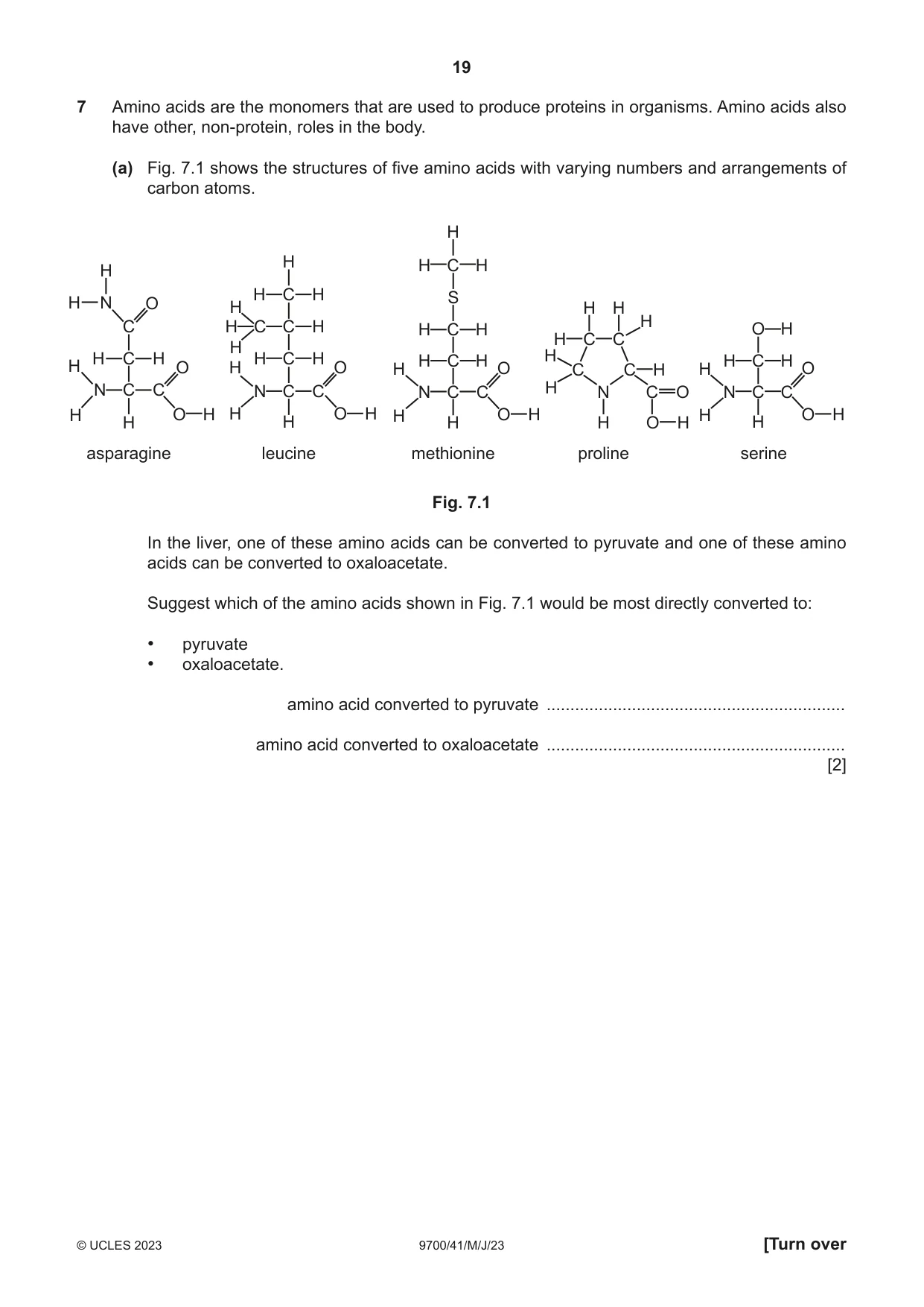 Cambridge A Level Biology 9700 2023 May/June Paper 4 · Variant 1 question paper, page 19 of 24