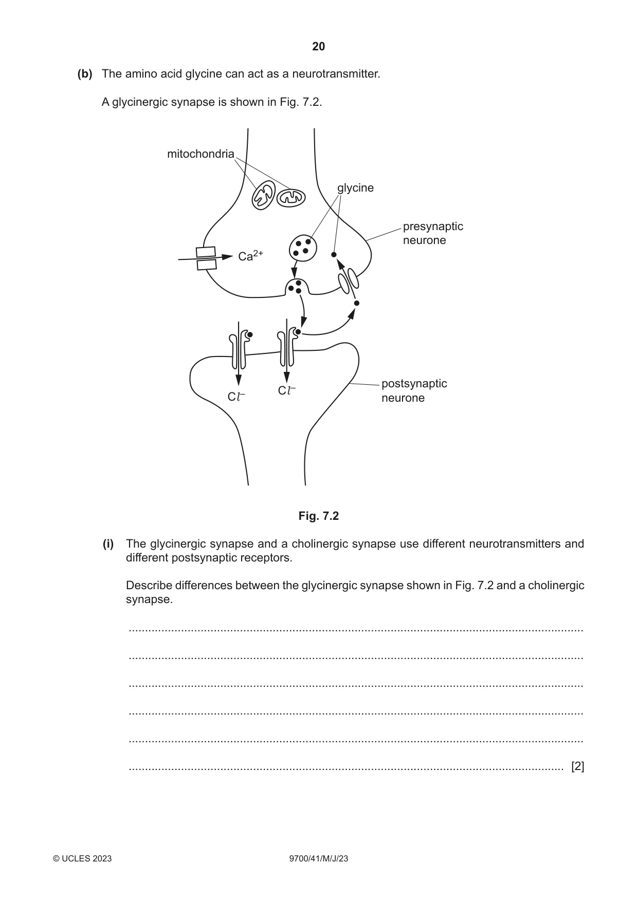 Cambridge A Level Biology 9700 2023 May/June Paper 4 · Variant 1 question paper, page 20 of 24