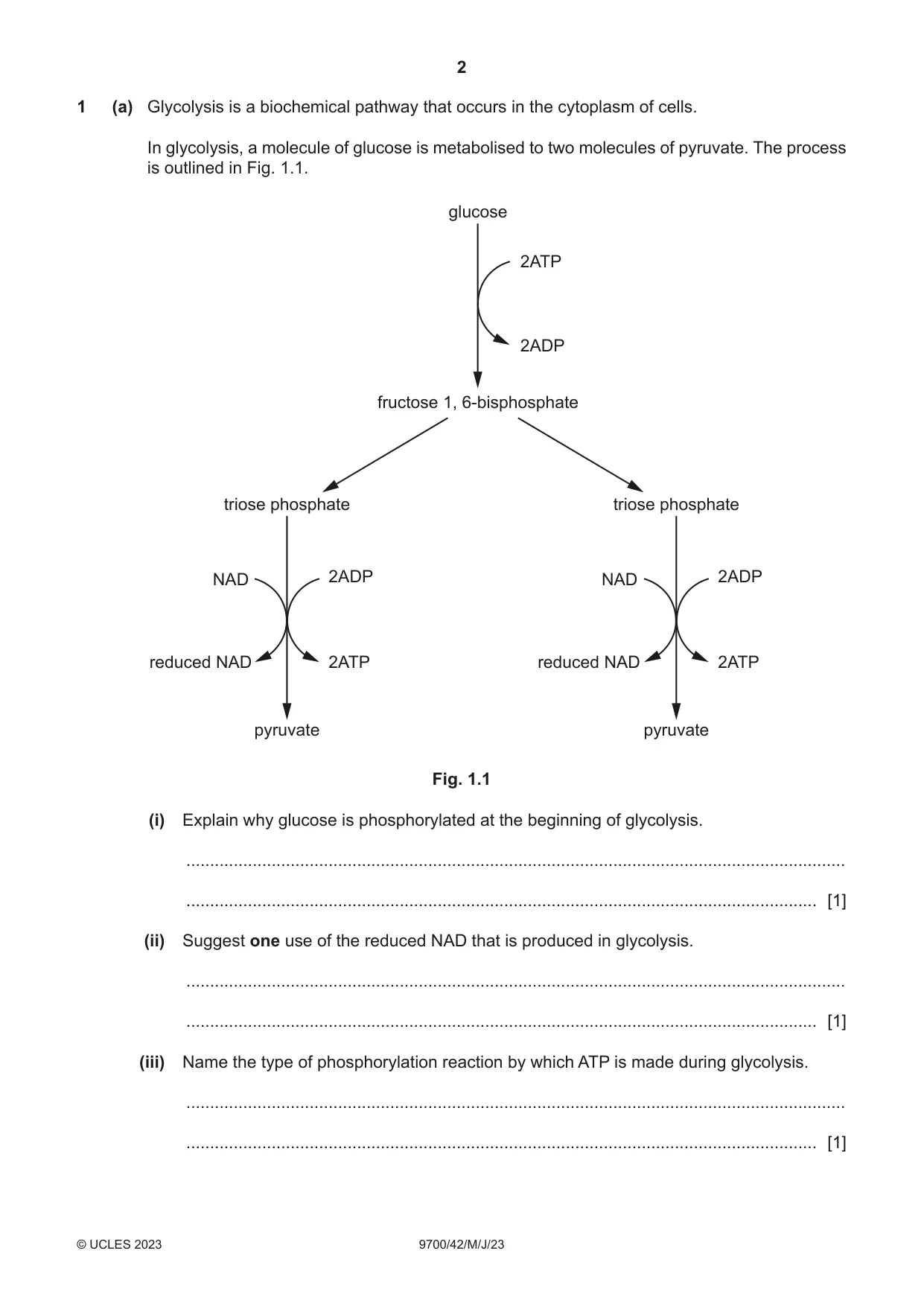 Cambridge A Level Biology 9700 2023 May/June Paper 4 · Variant 2 question paper, page 2 of 24