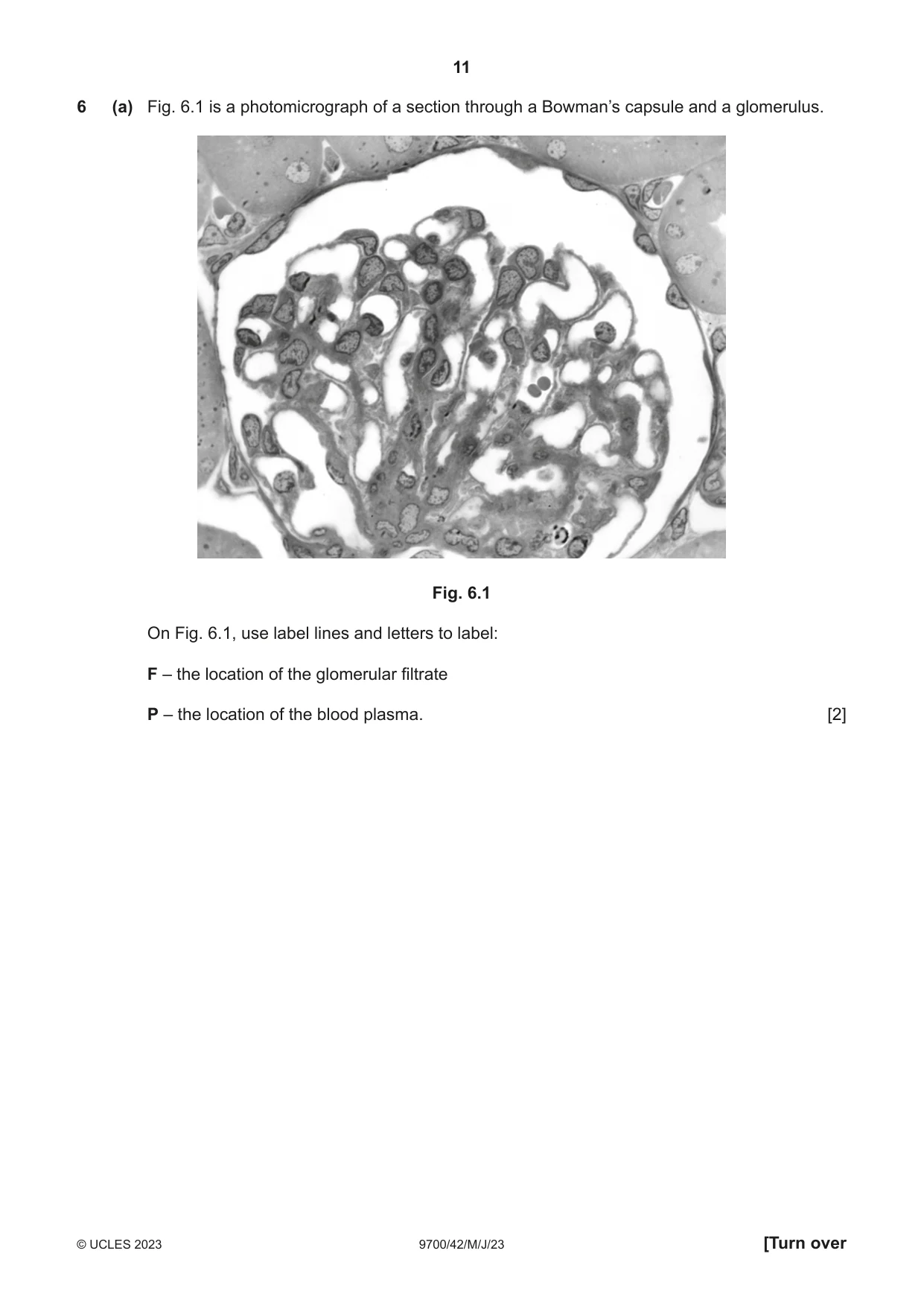 Cambridge A Level Biology 9700 2023 May/June Paper 4 · Variant 2 question paper, page 11 of 24