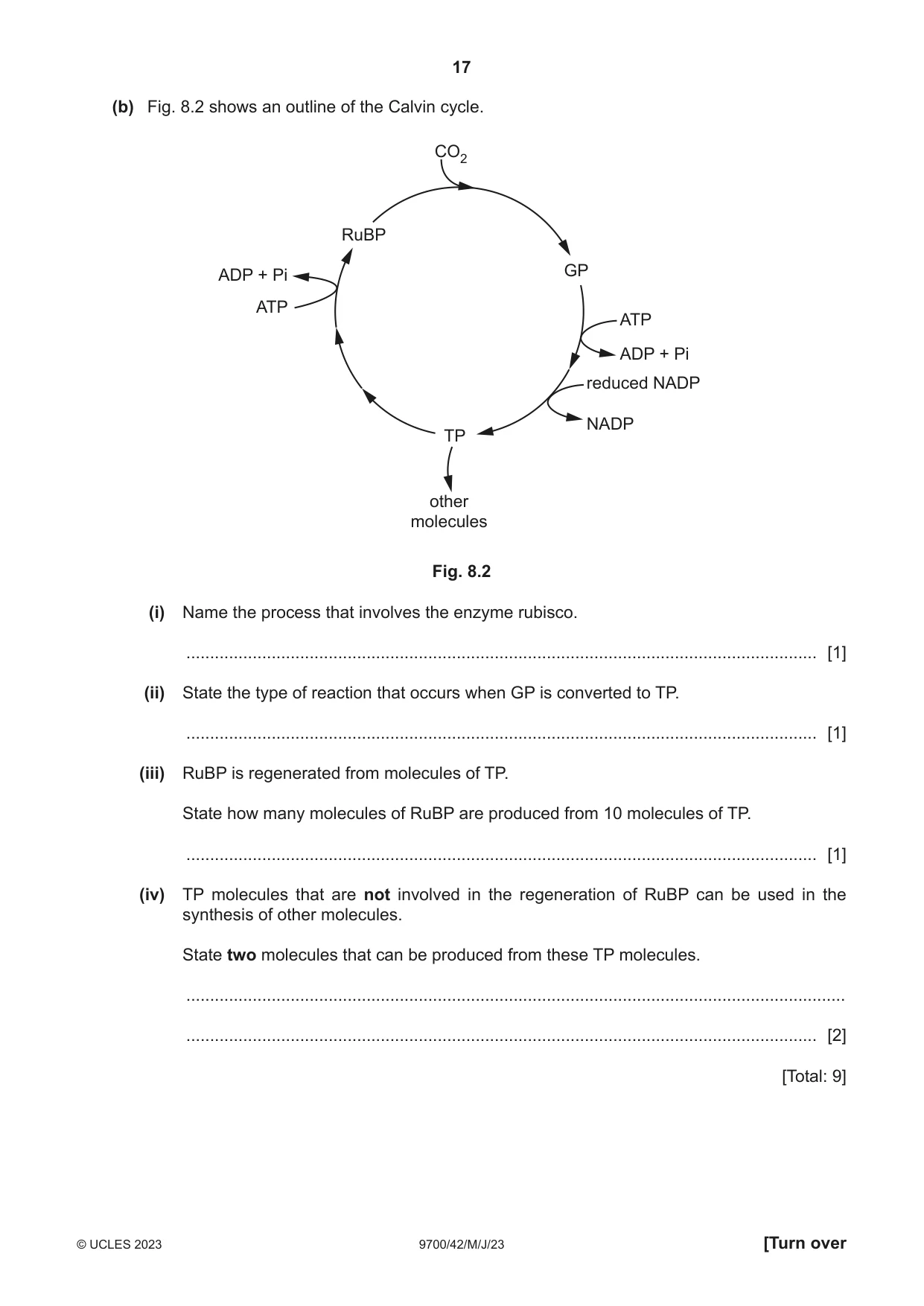 Cambridge A Level Biology 9700 2023 May/June Paper 4 · Variant 2 question paper, page 17 of 24
