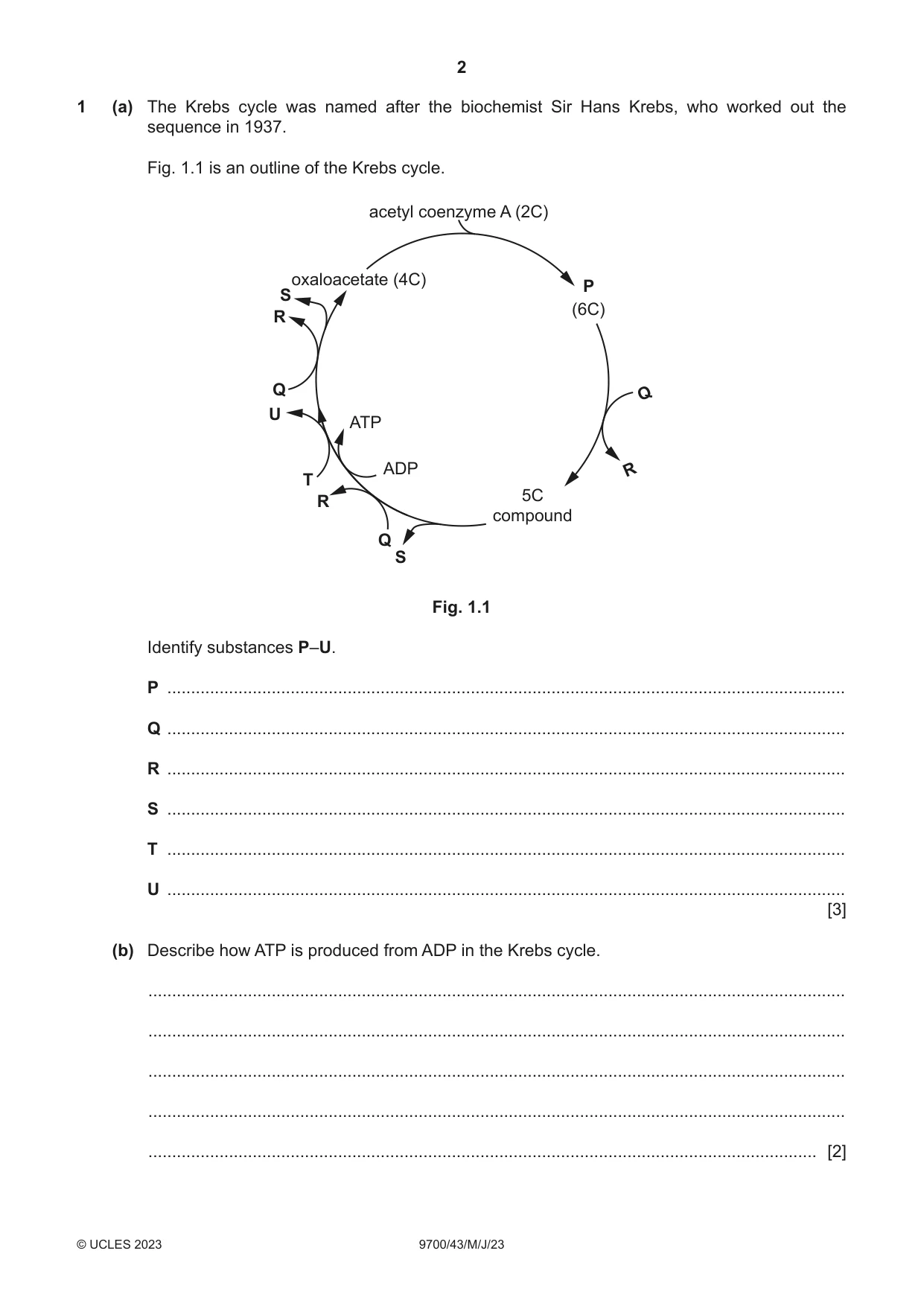 Cambridge A Level Biology 9700 2023 May/June Paper 4 · Variant 3 question paper, page 2 of 28