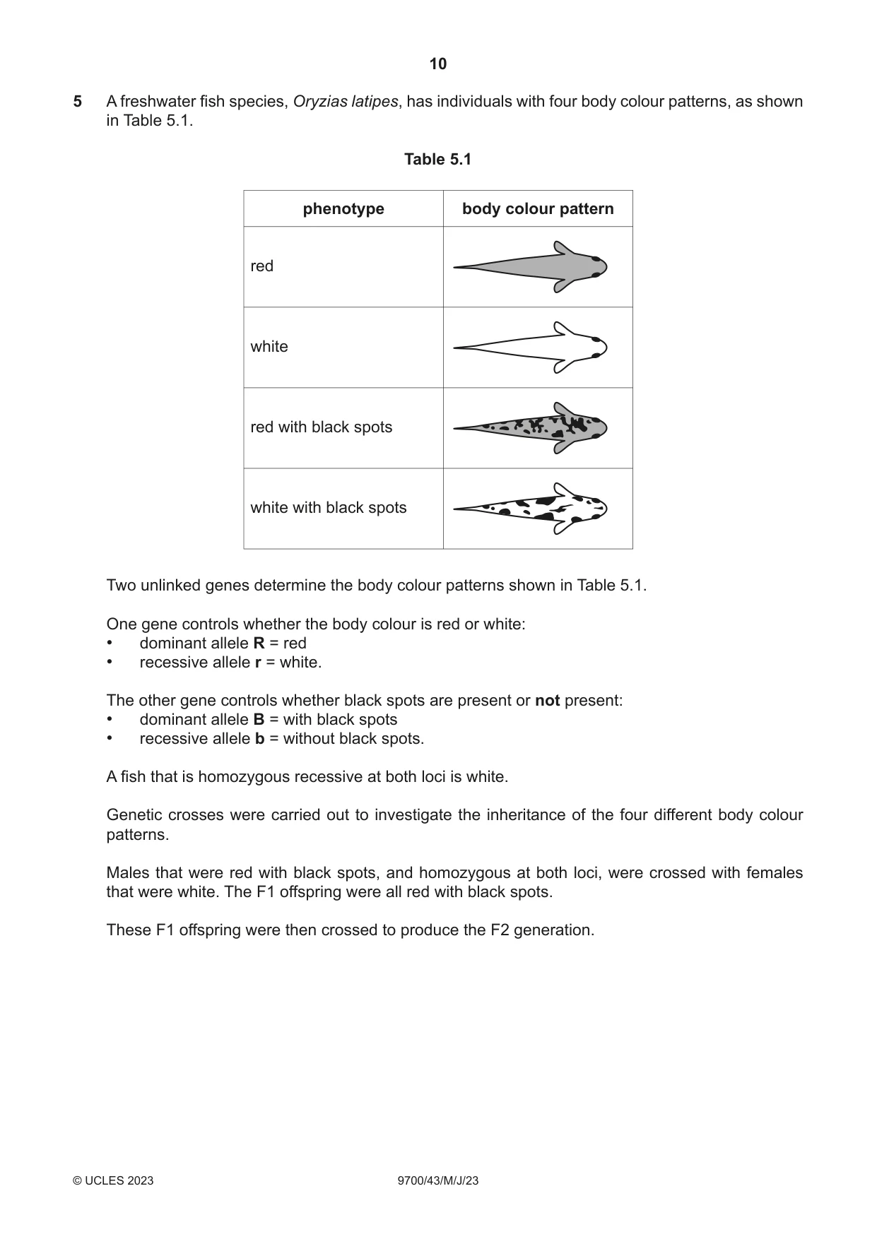 Cambridge A Level Biology 9700 2023 May/June Paper 4 · Variant 3 question paper, page 10 of 28