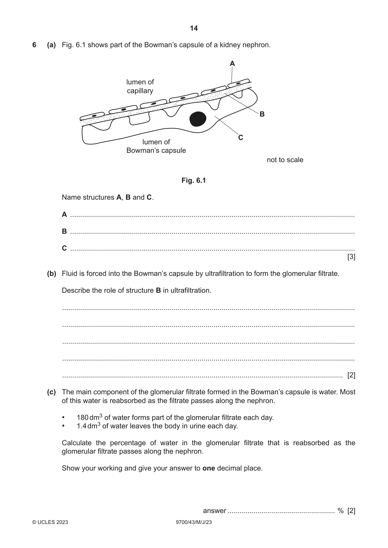 Cambridge A Level Biology 9700 2023 May/June Paper 4 · Variant 3 question paper, page 14 of 28