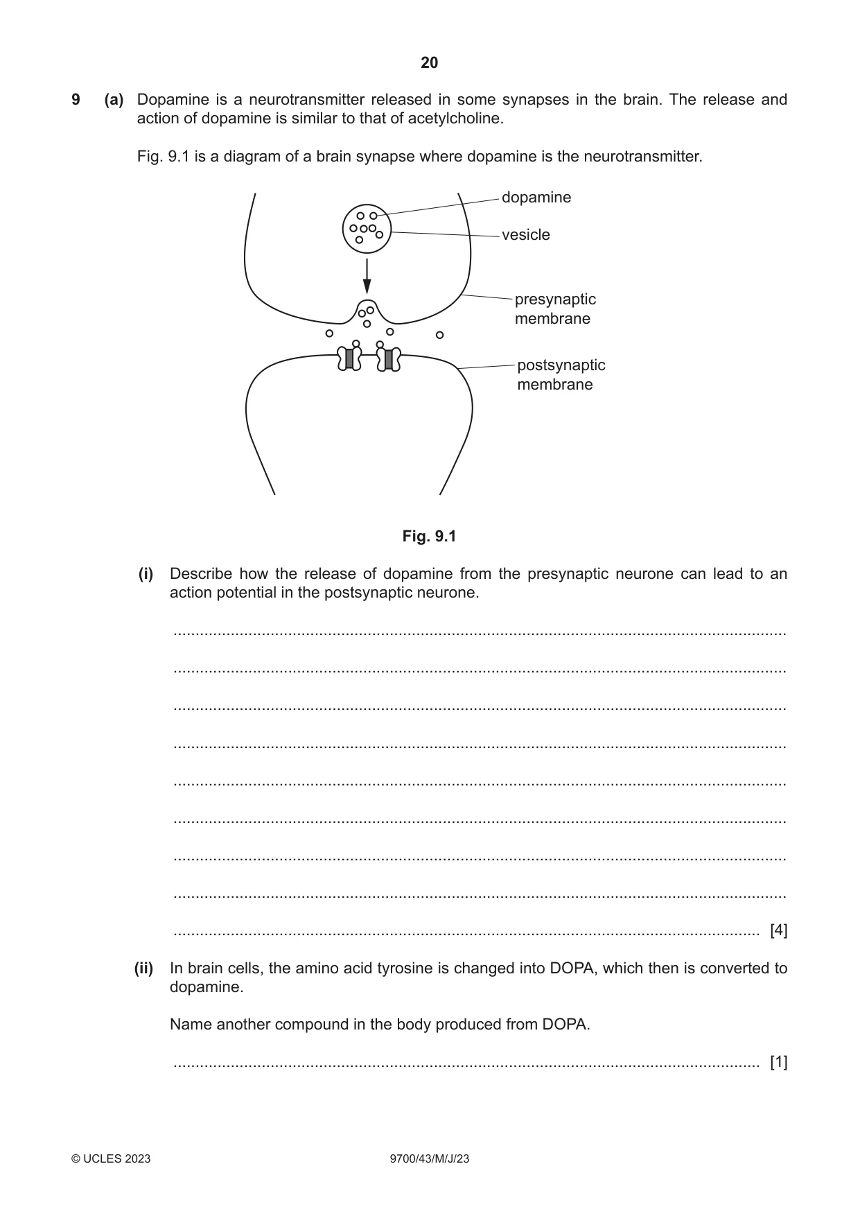 Cambridge A Level Biology 9700 2023 May/June Paper 4 · Variant 3 question paper, page 20 of 28