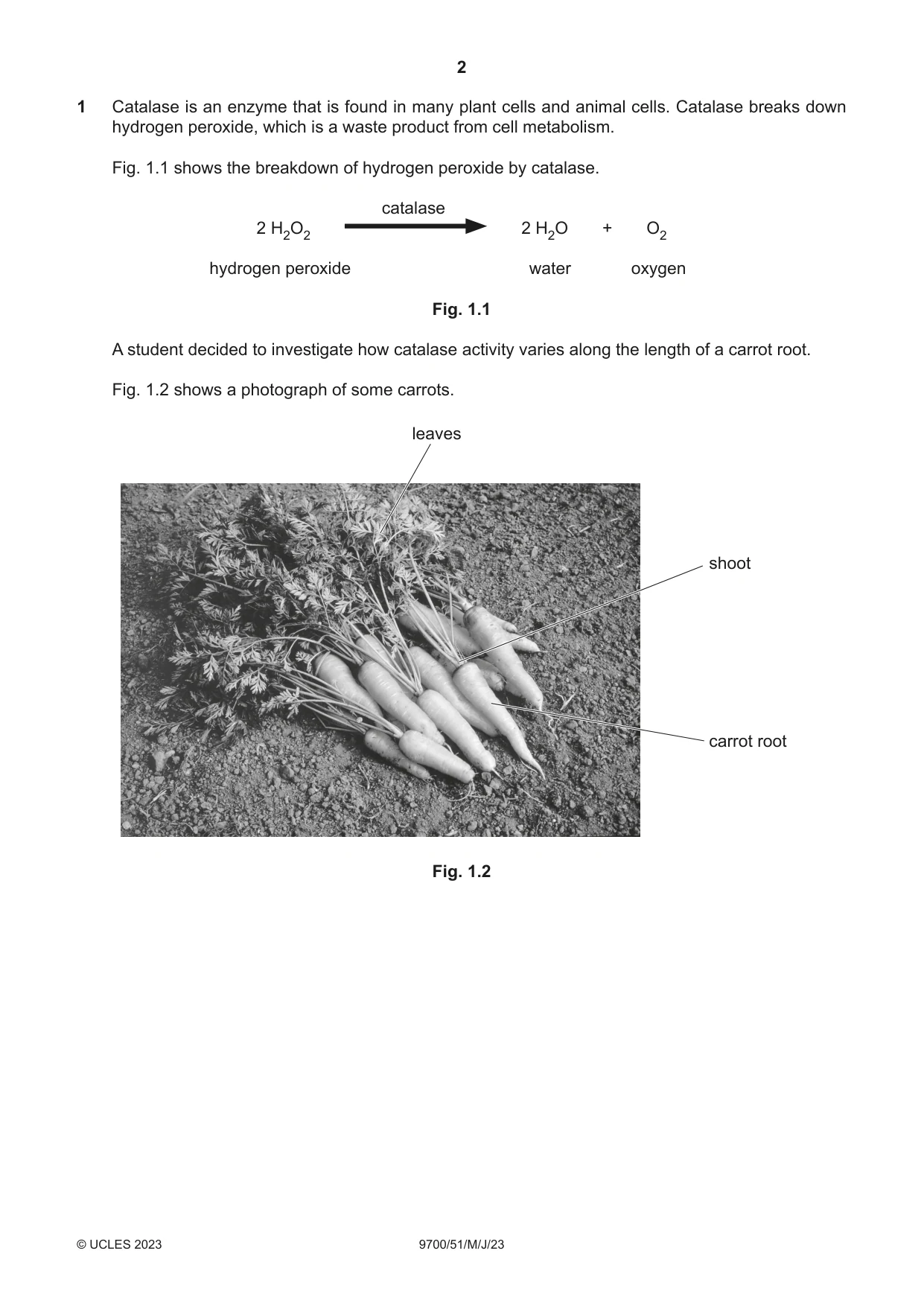 Cambridge A Level Biology 9700 2023 May/June Paper 5 · Variant 1 question paper, page 2 of 20