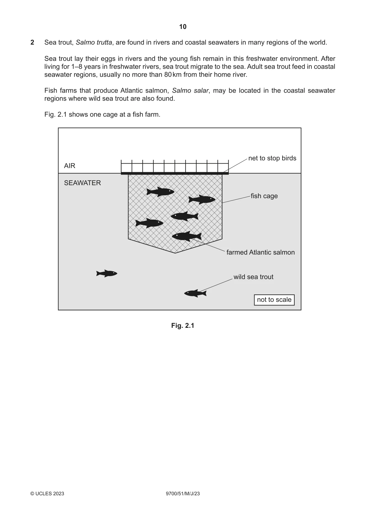 Cambridge A Level Biology 9700 2023 May/June Paper 5 · Variant 1 question paper, page 10 of 20