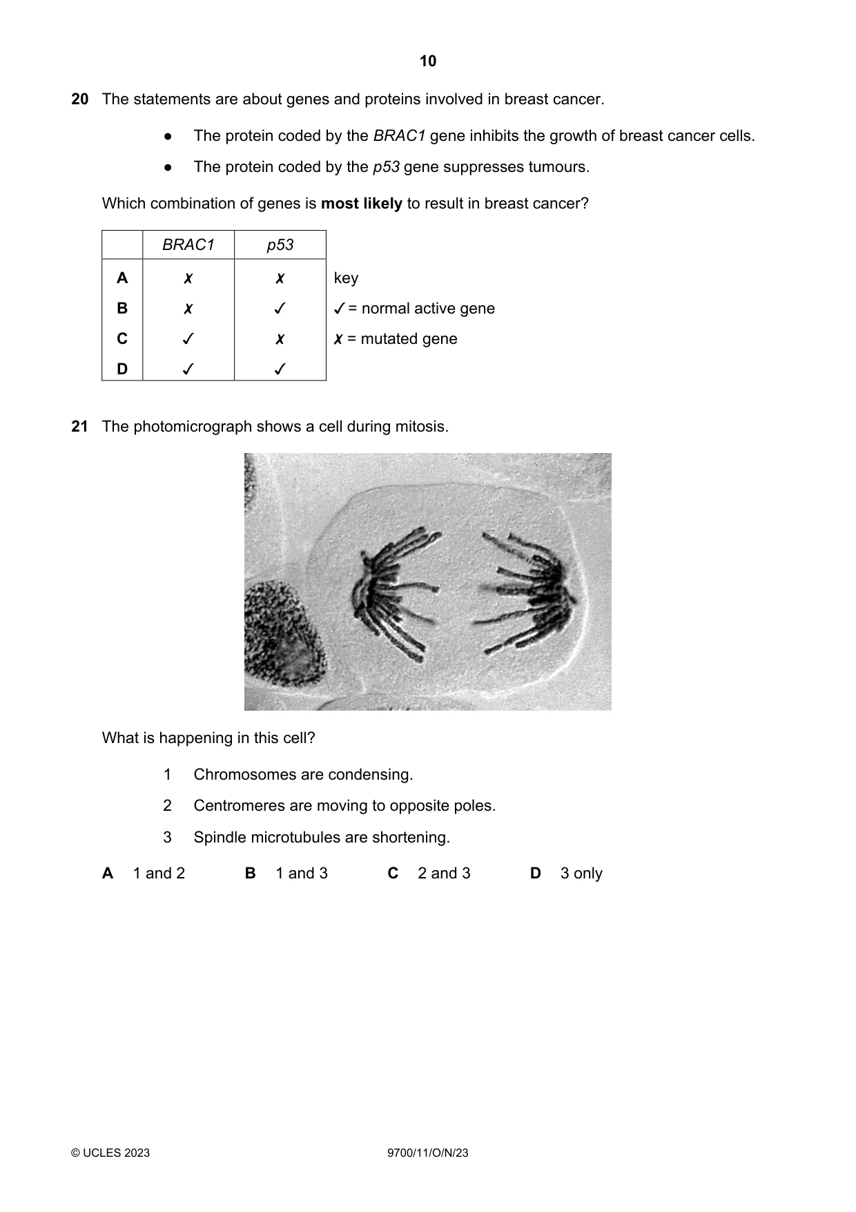 Cambridge A Level Biology 9700 2023 Oct/Nov Paper 1 · Variant 1 question paper, page 10 of 20