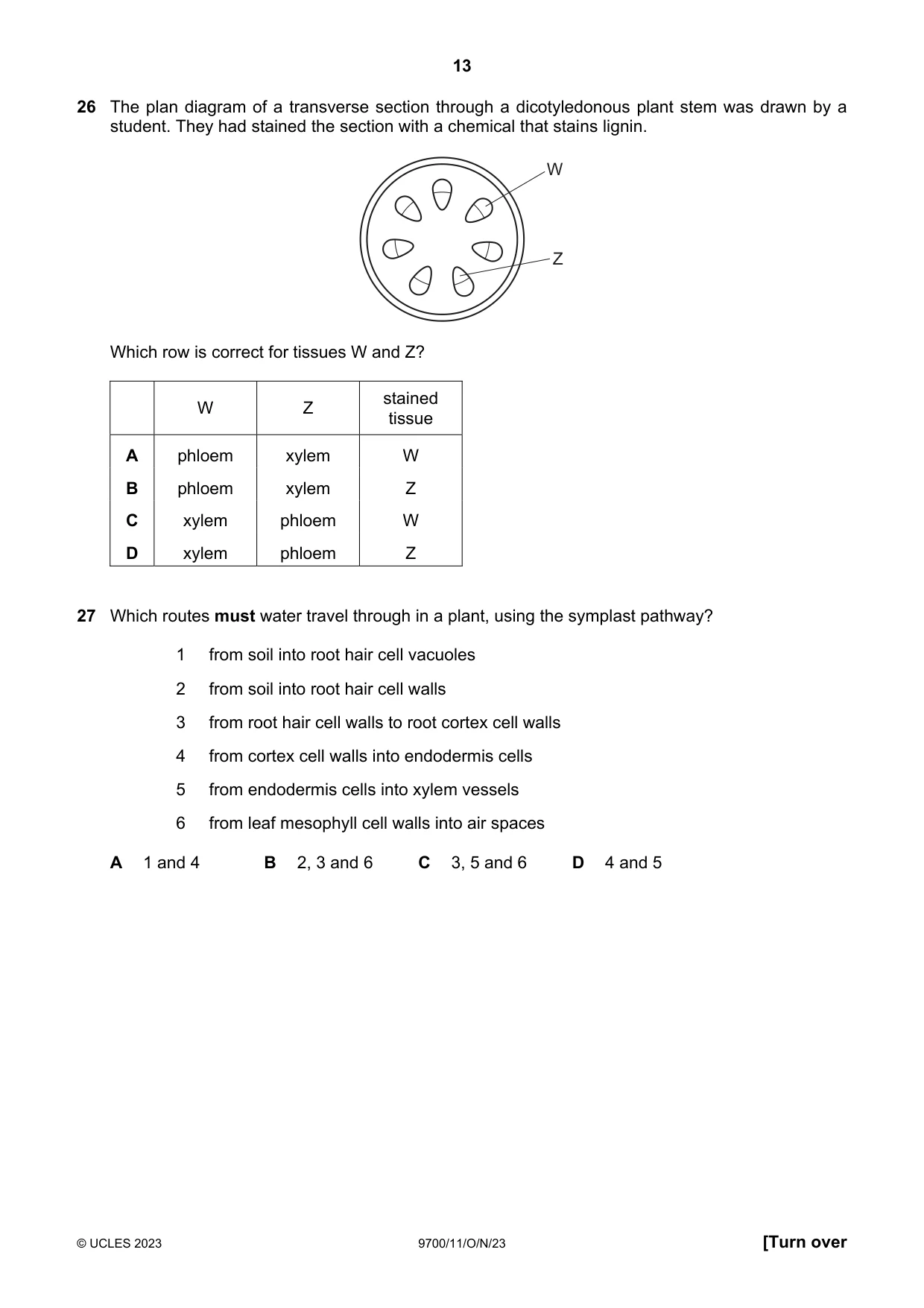 Cambridge A Level Biology 9700 2023 Oct/Nov Paper 1 · Variant 1 question paper, page 13 of 20
